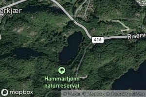Hammartjenn