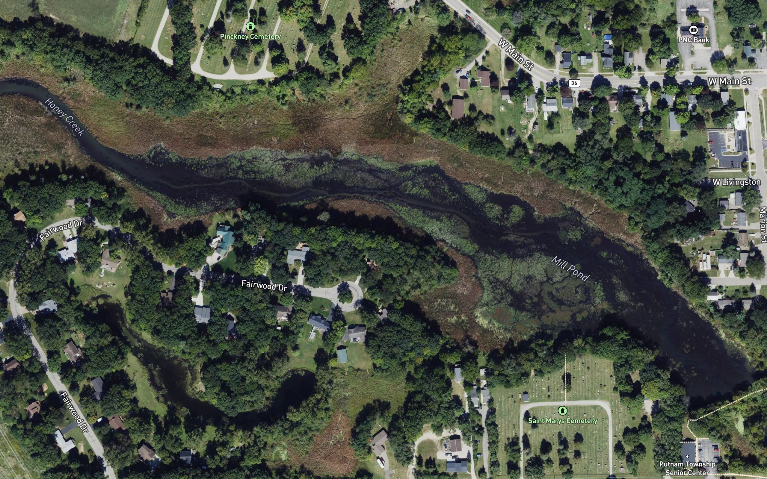 Mill Pond