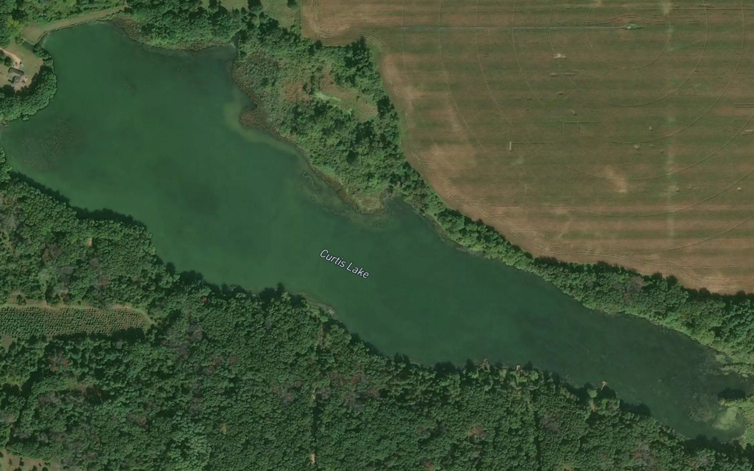Curtis Lake