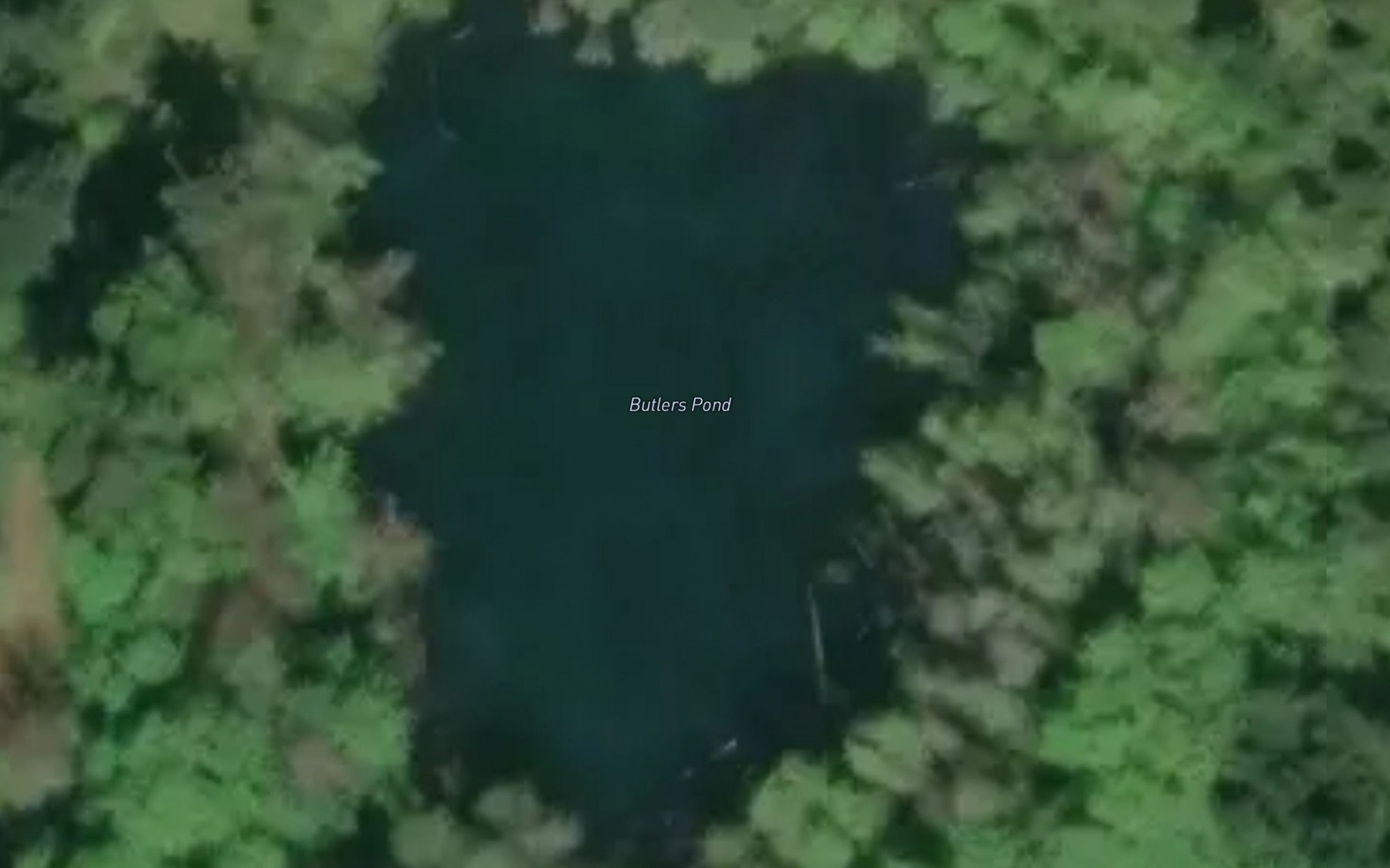 Satellite map of the Butlers Pond