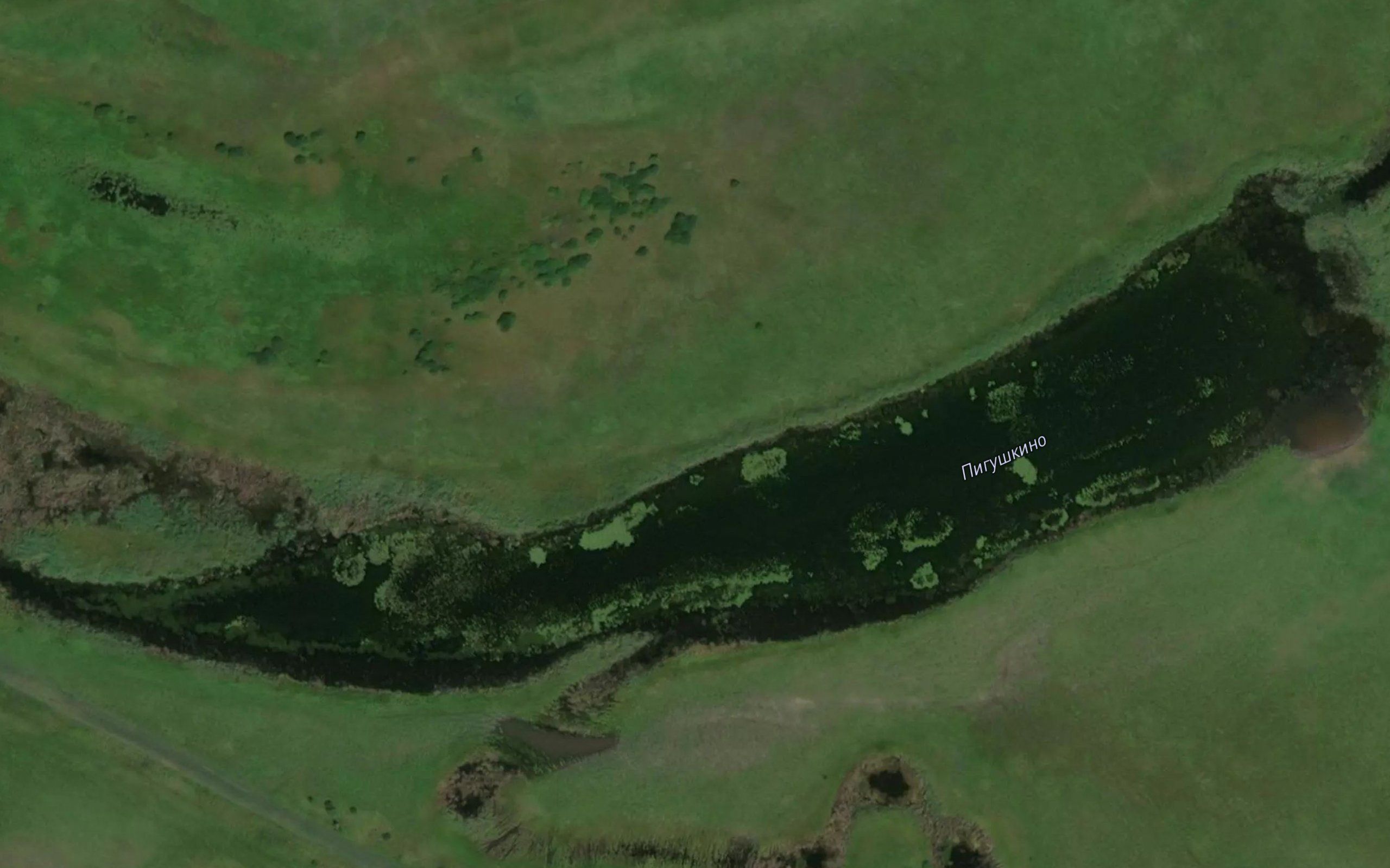 Ozero Pigushkino