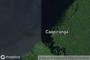 Igarape Caapiranga