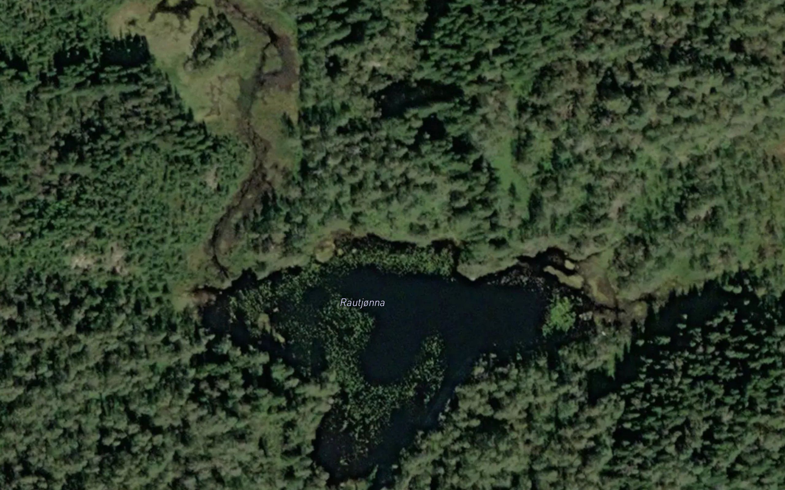 Rautjonna