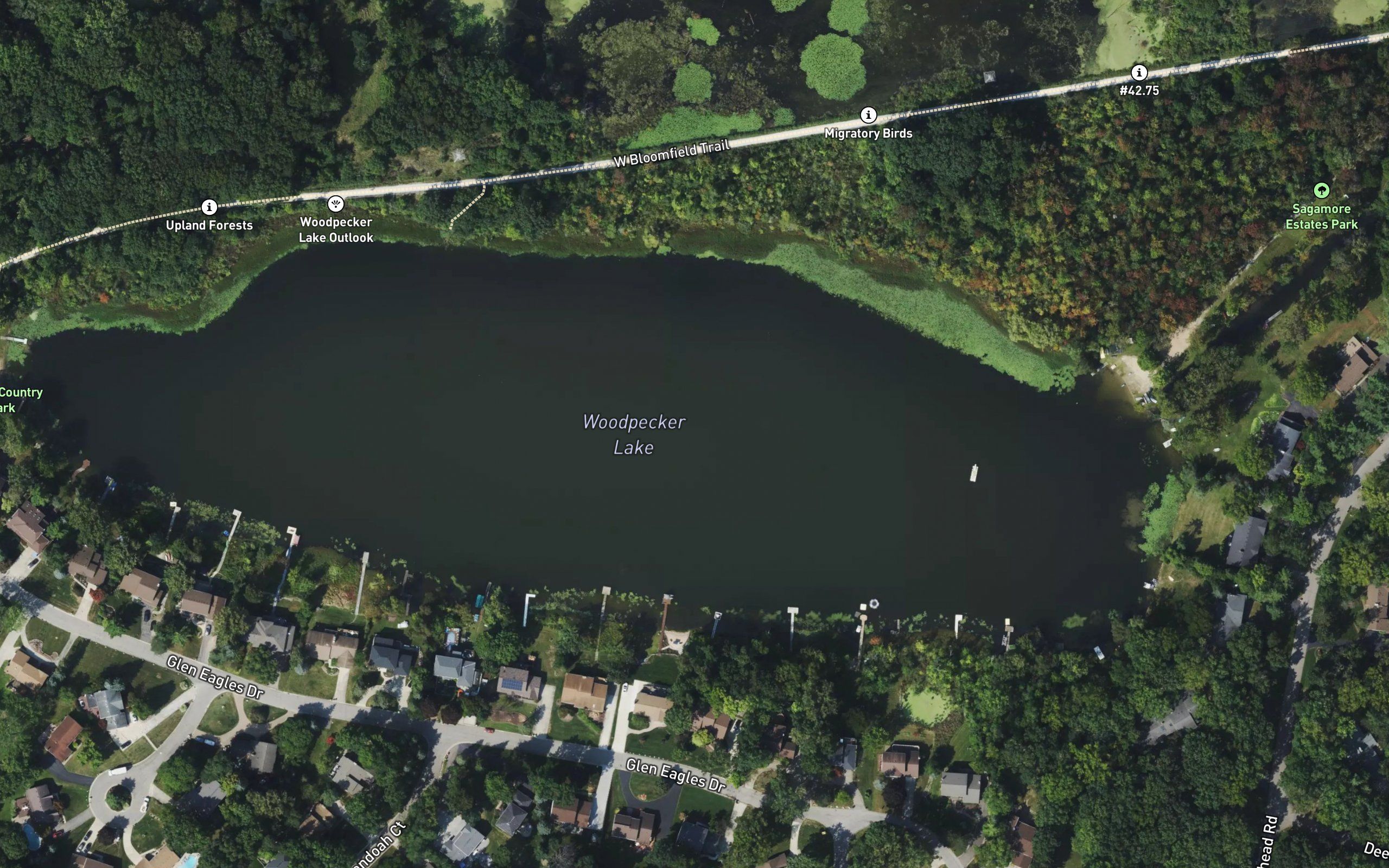 Woodpecker Lake