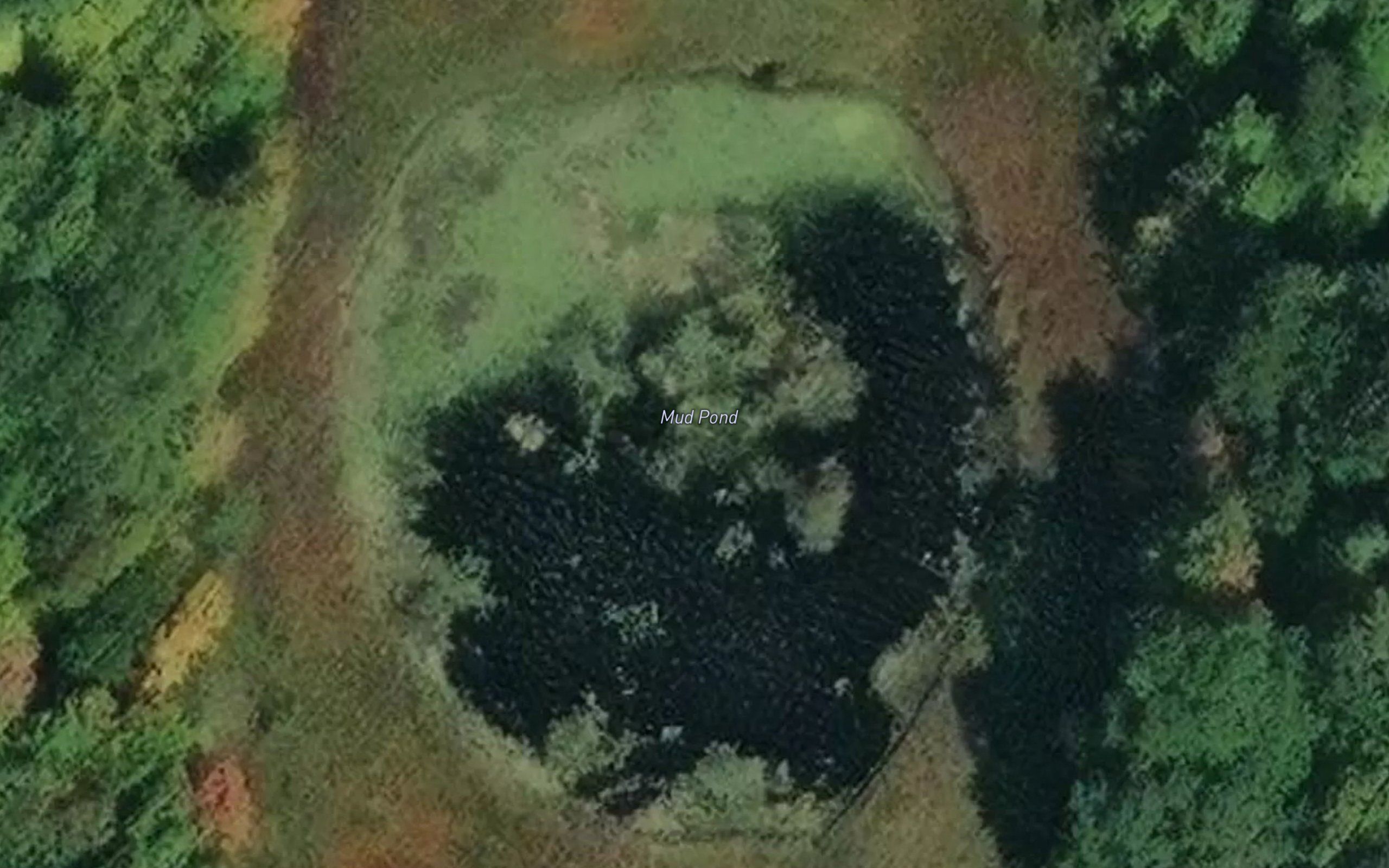 Mud Pond