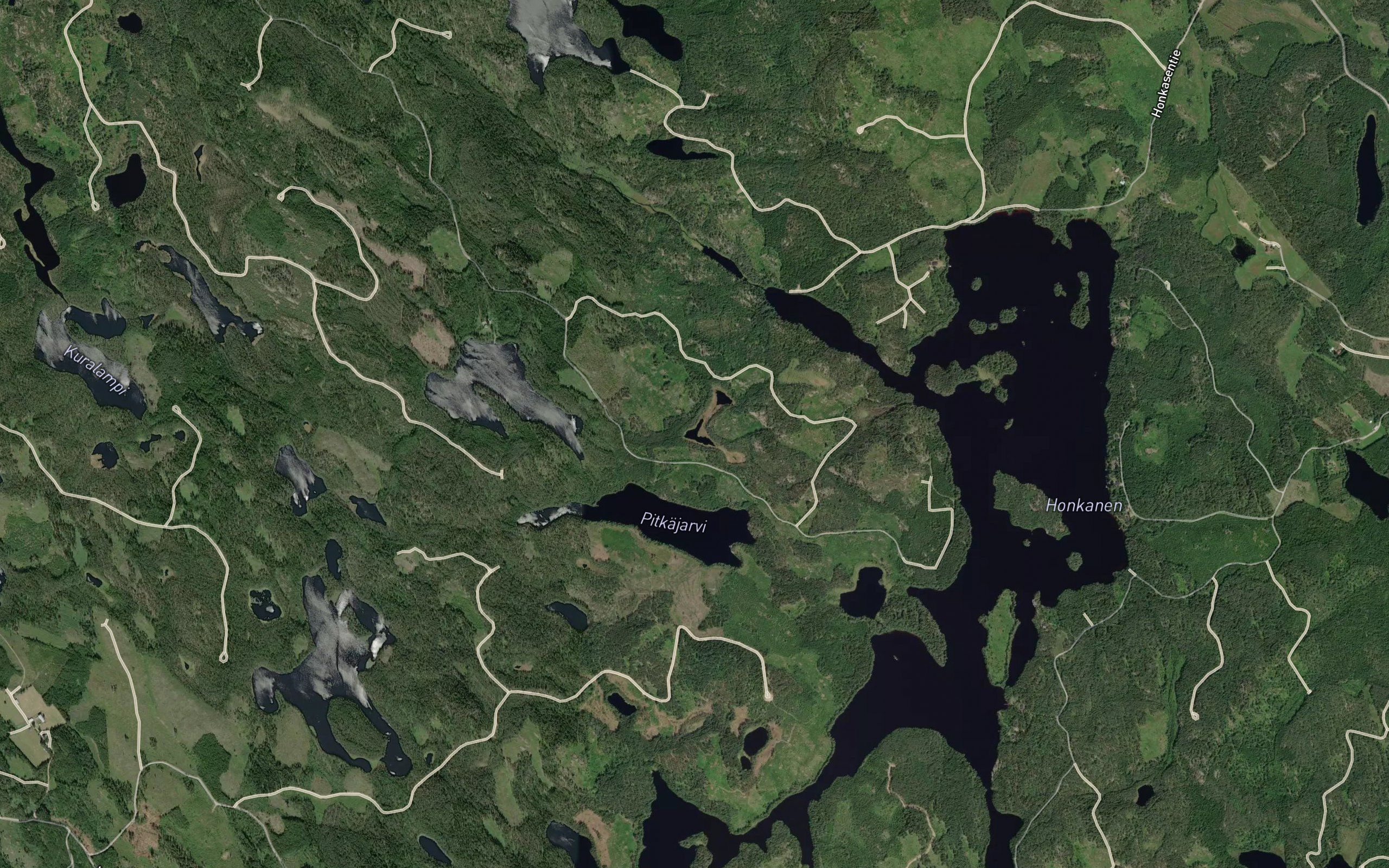 Mutalammit