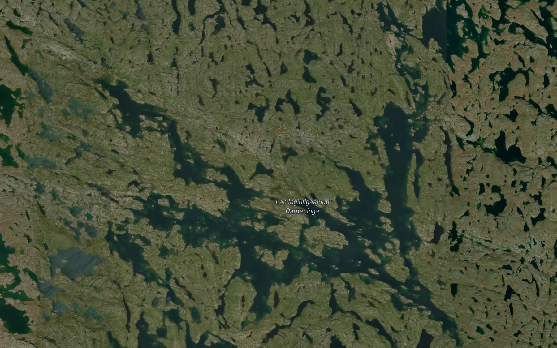 Satellite map of the Lac Ingiuligaajuup Qamaninga
