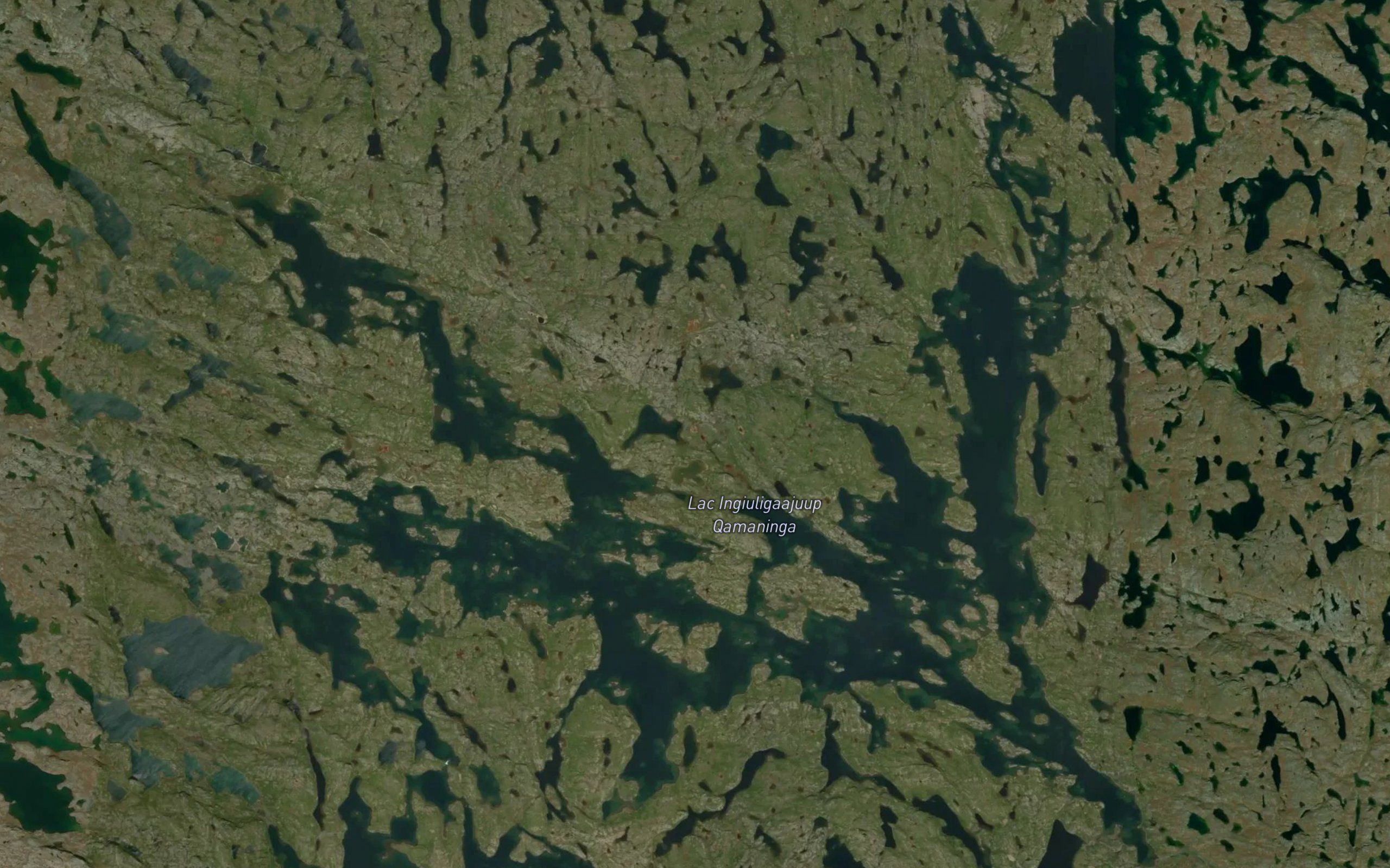 Lac Ingiuligaajuup Qamaninga