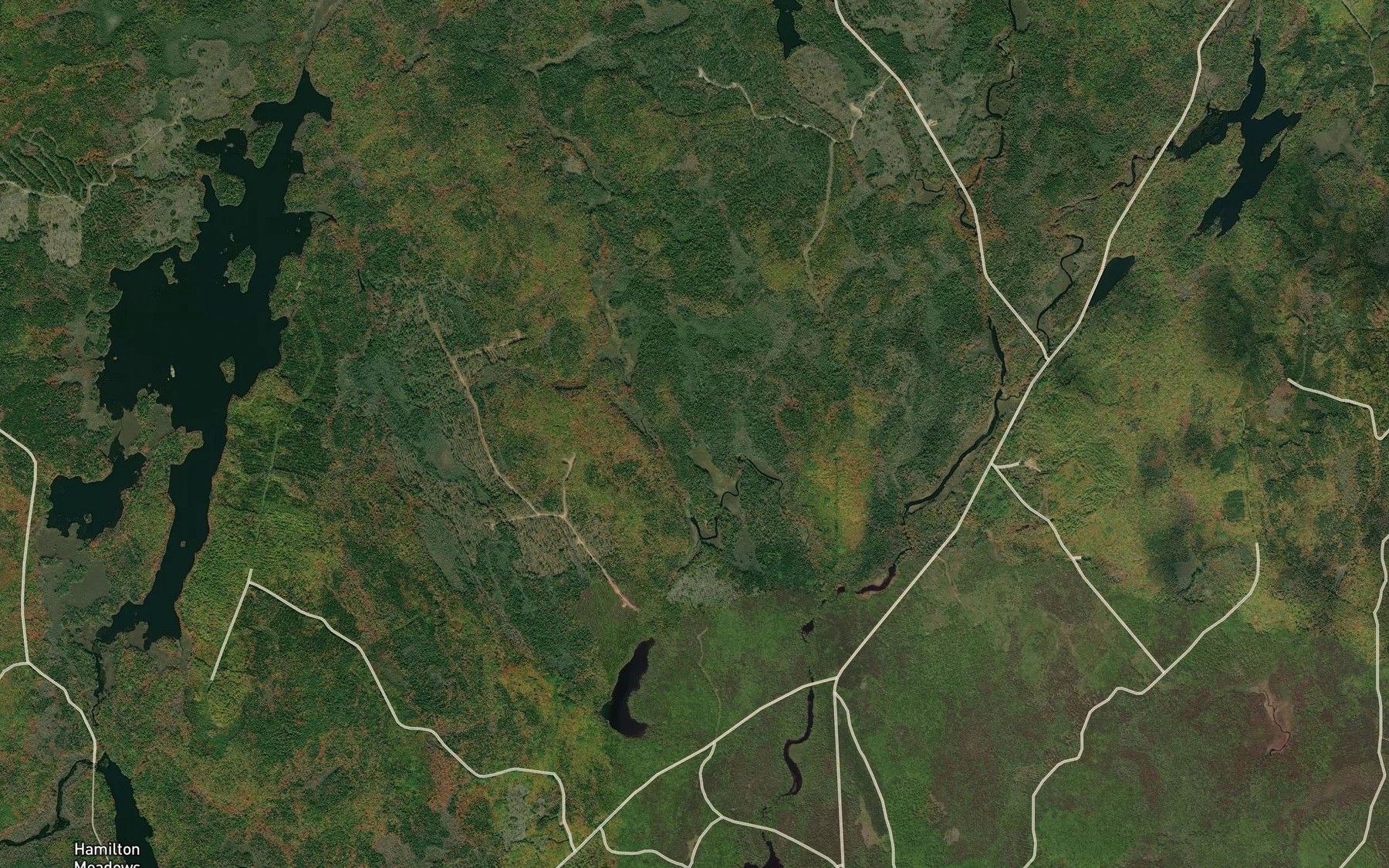 Satellite map of the Hamilton Brook