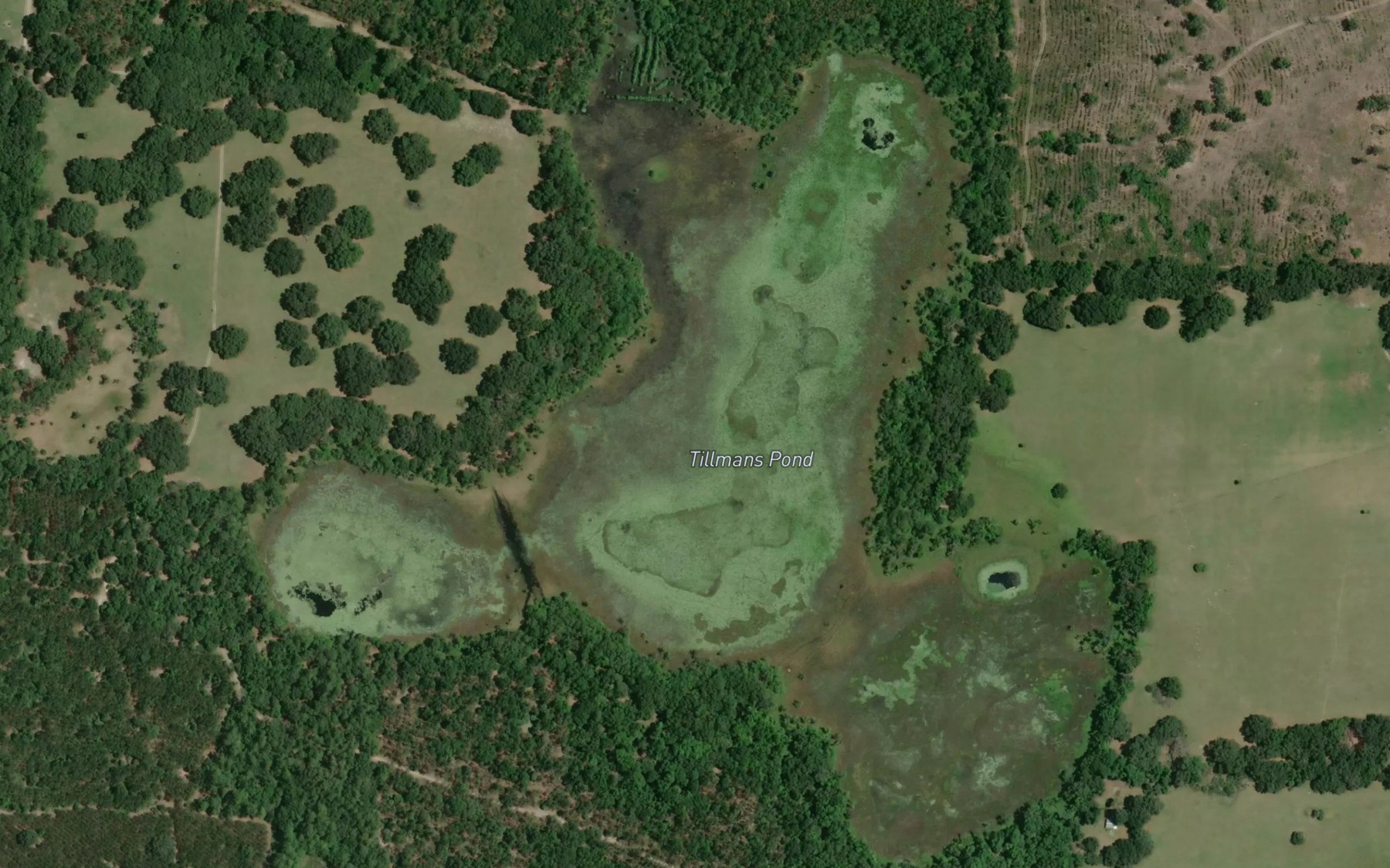 Satellite map of the Tillmans Pond