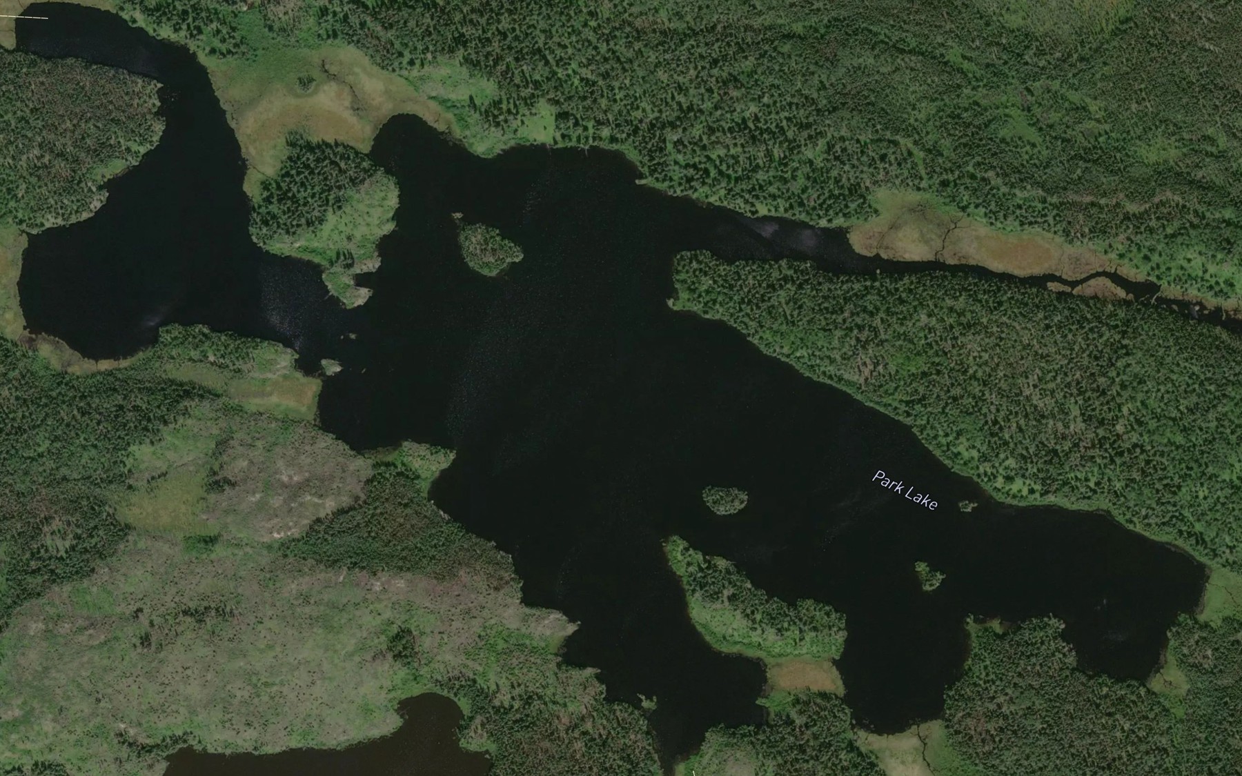 Satellite map of the Park Lake