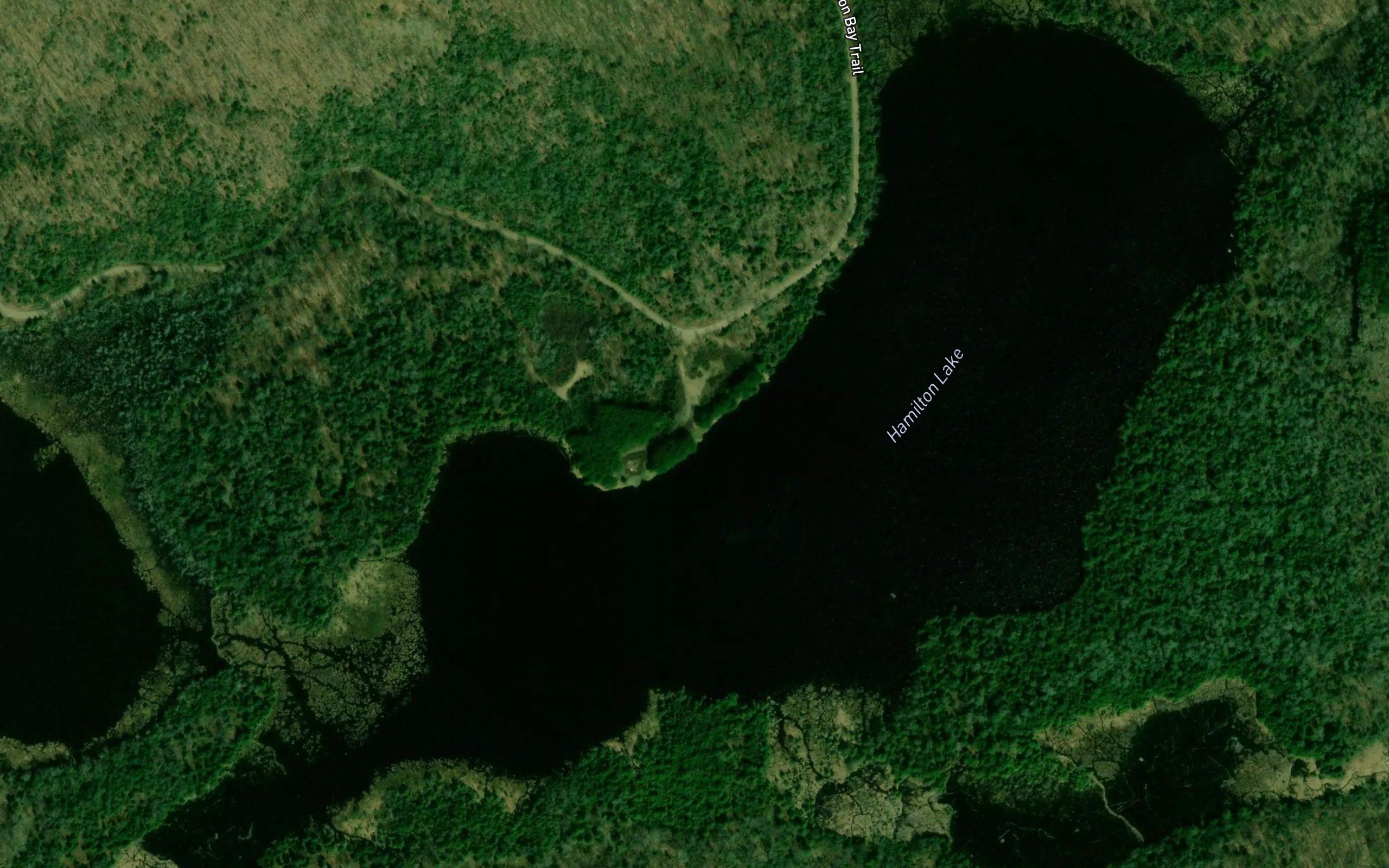 Hamilton Lake