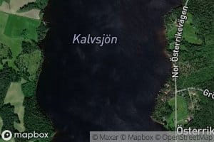 Kalvsjon