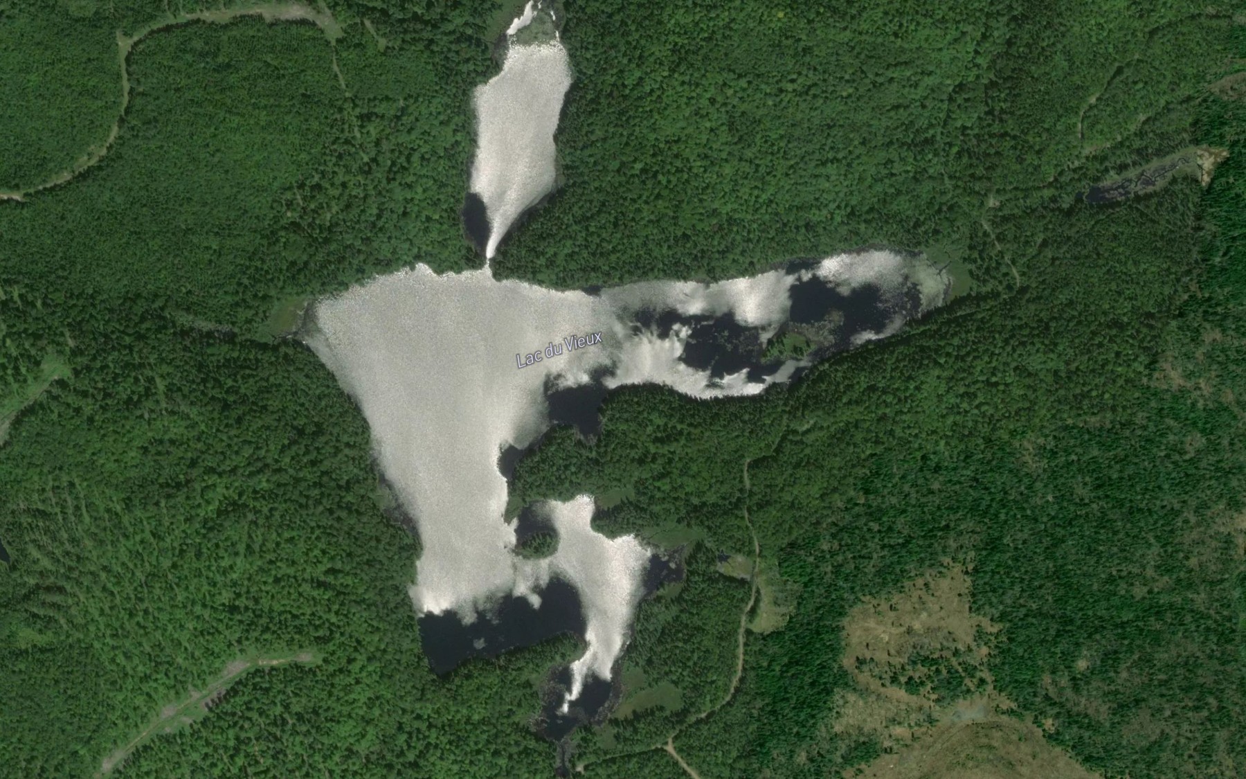 Satellite map of the Lac du Vieux