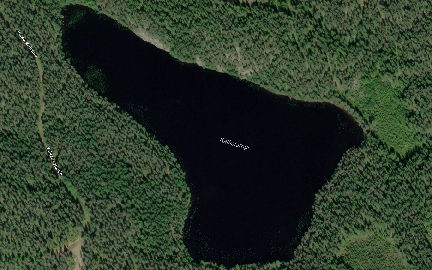 Satellite map of the Kalliolampi