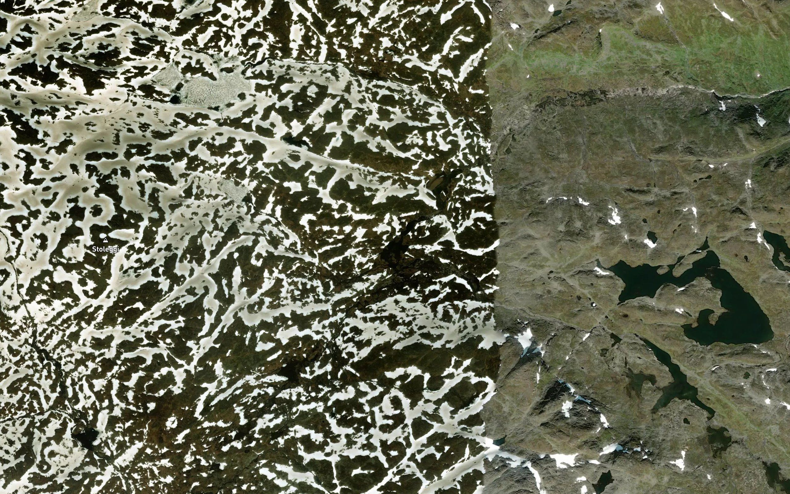 Arbogen