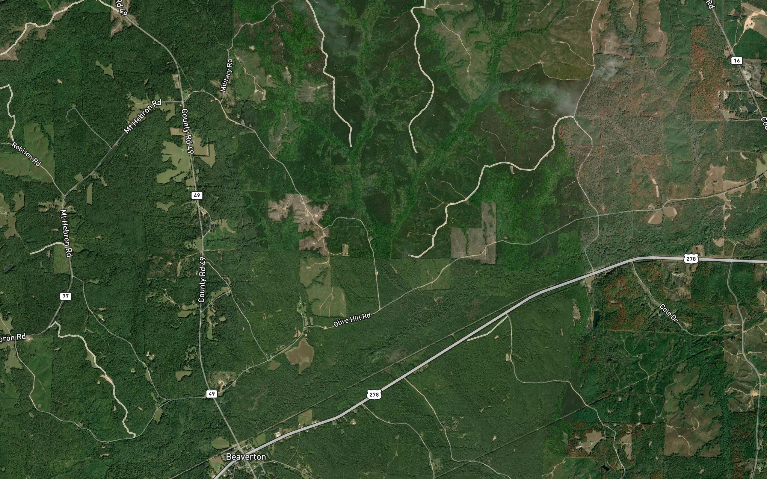 Reedy Branch