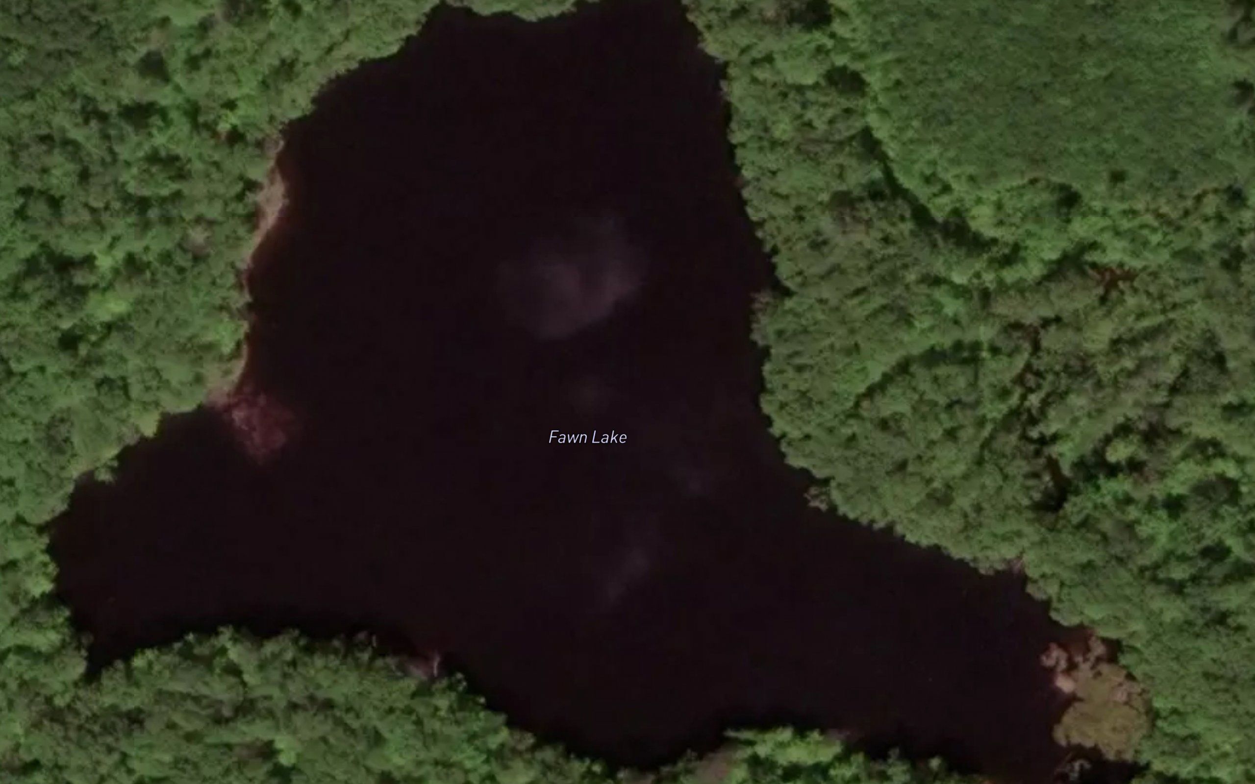 Fawn Lake
