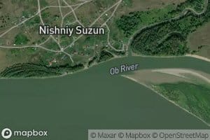 Suzun