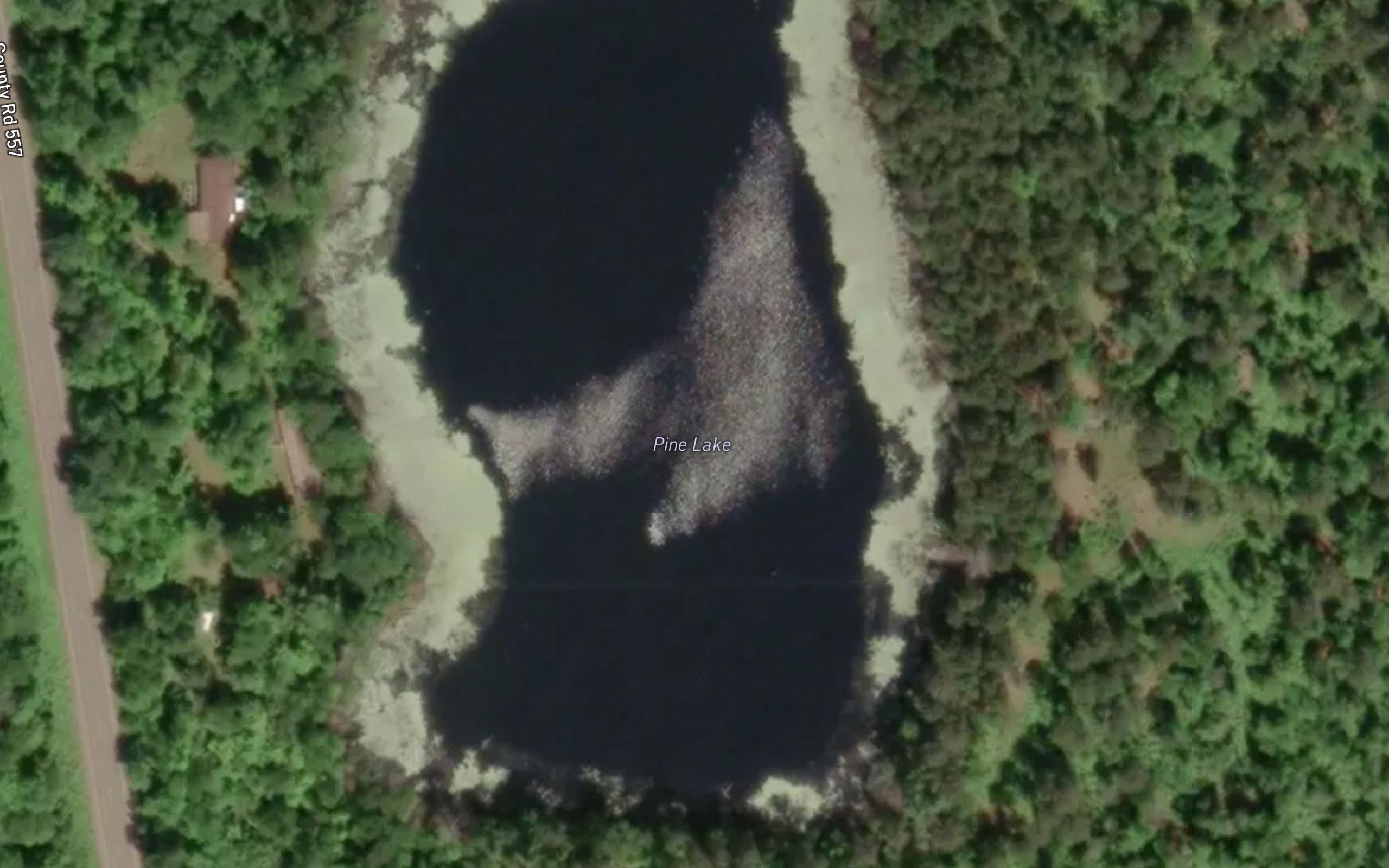 Pine Lake, Forsyth Township