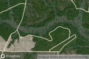 Padgett Spring Branch