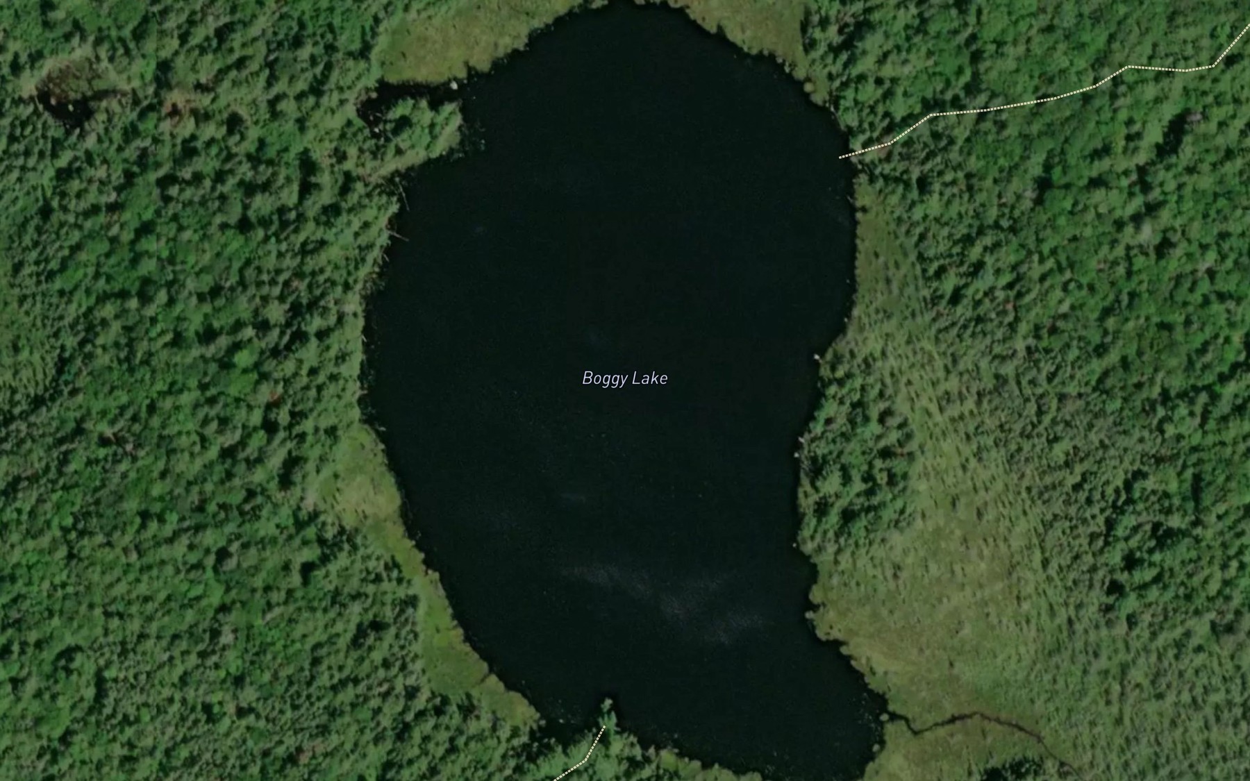 Satellite map of the Boggy Lake