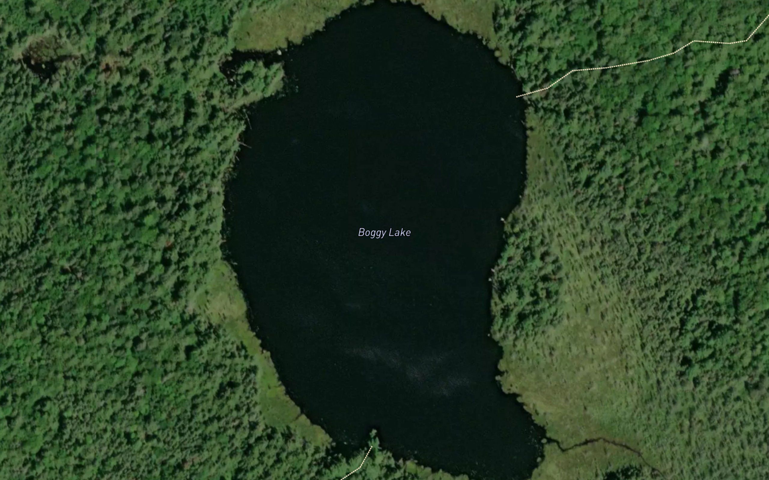 Boggy Lake