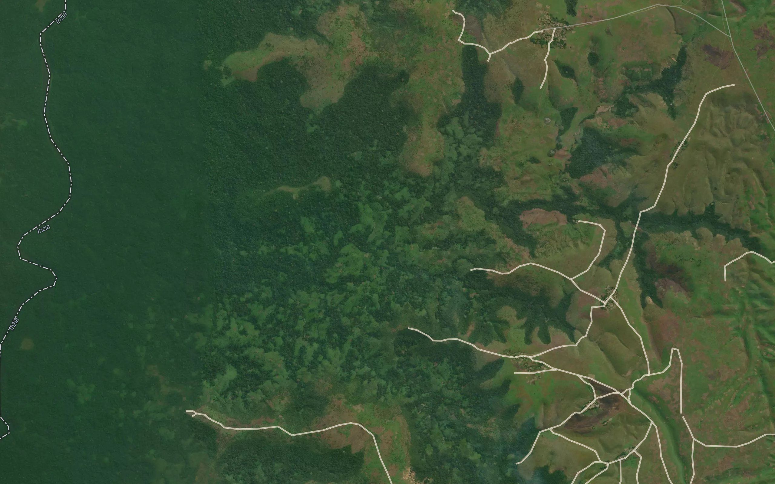 Mangila