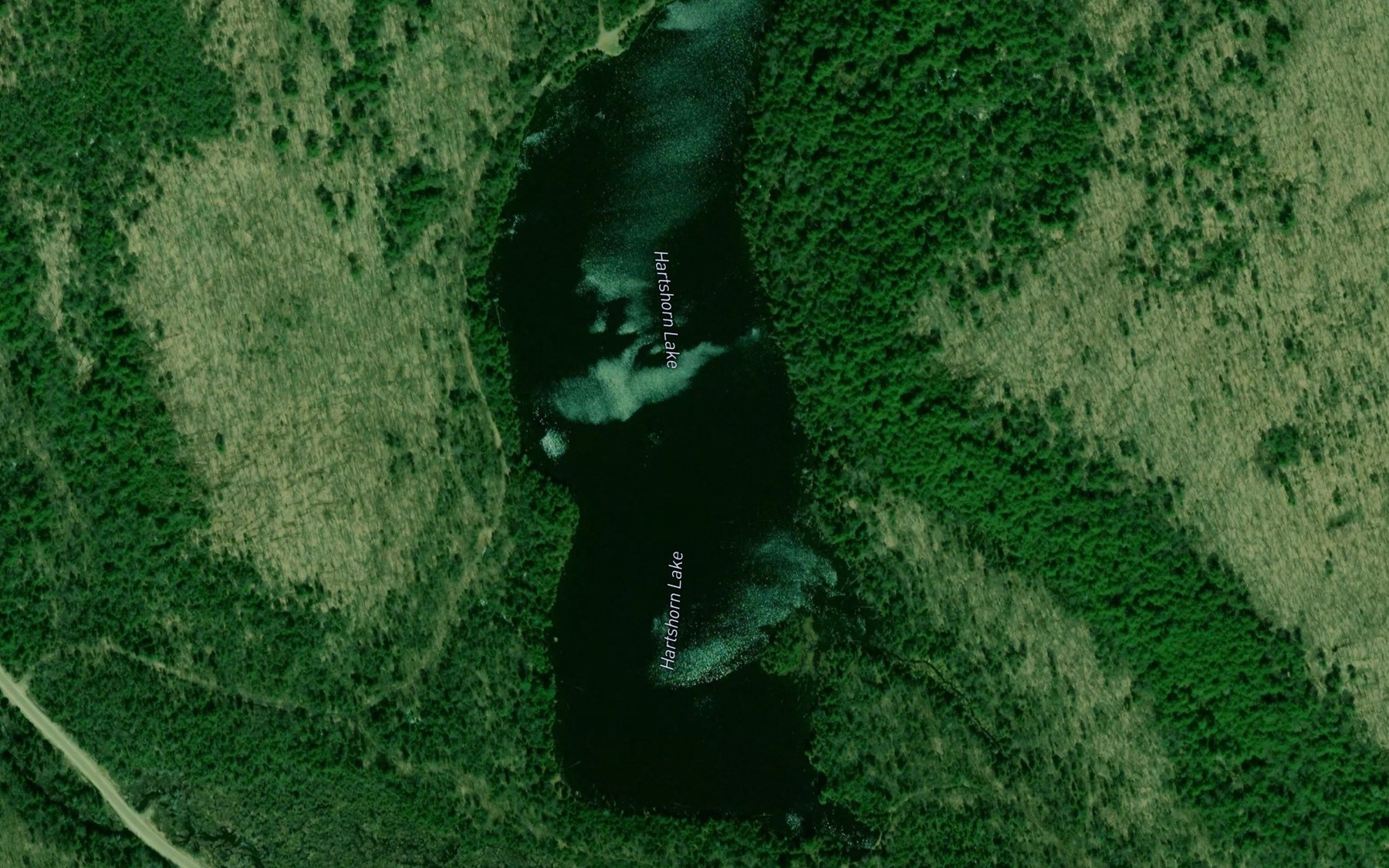 Satellite map of the Hartshorn Lake