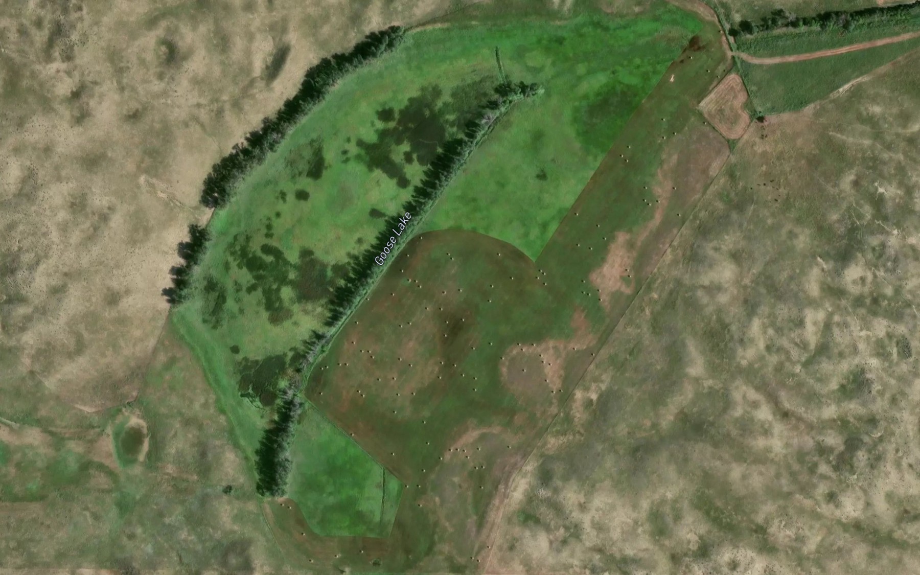 Satellite map of the Goose Lake