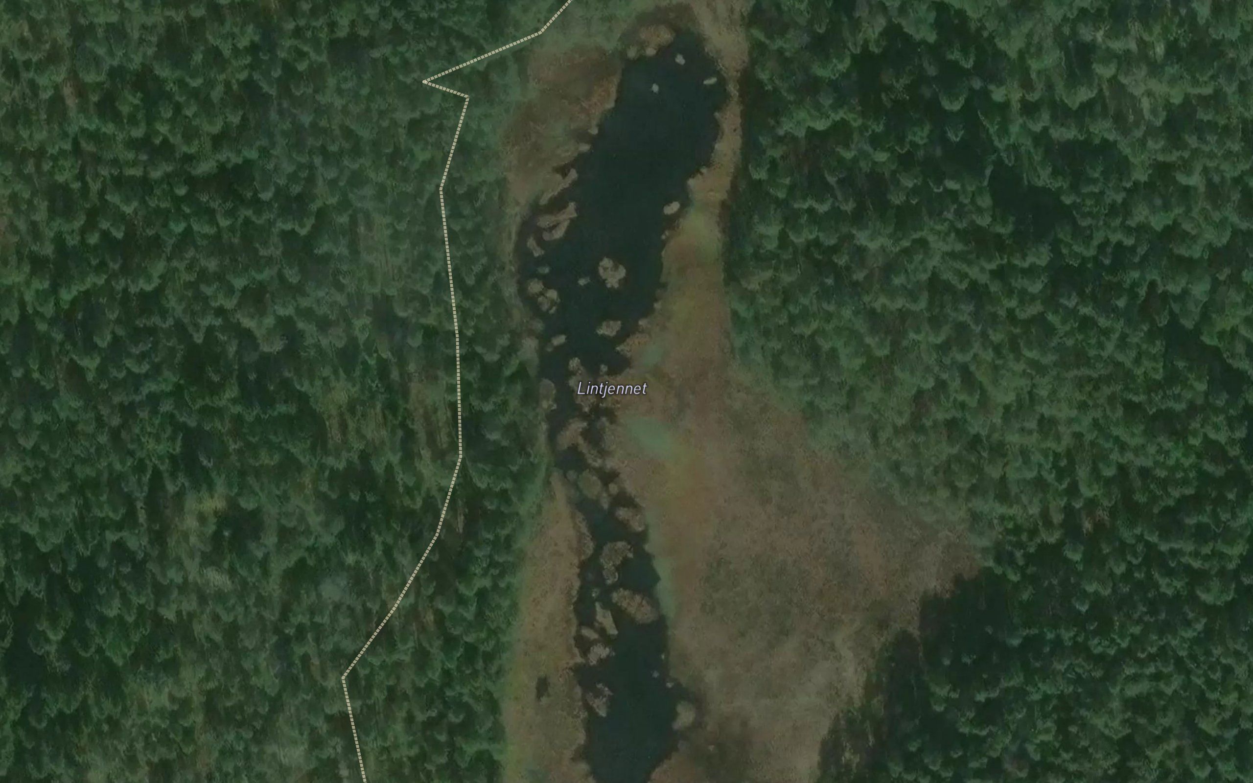 Lintjernet