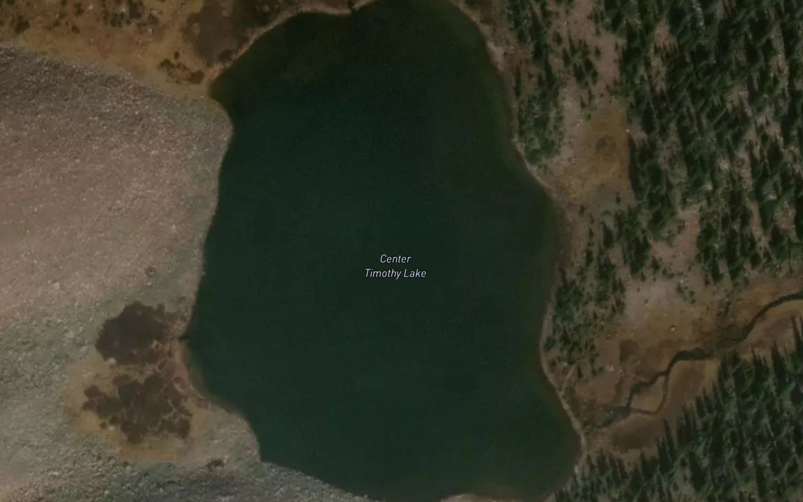 Center Timothy Lake