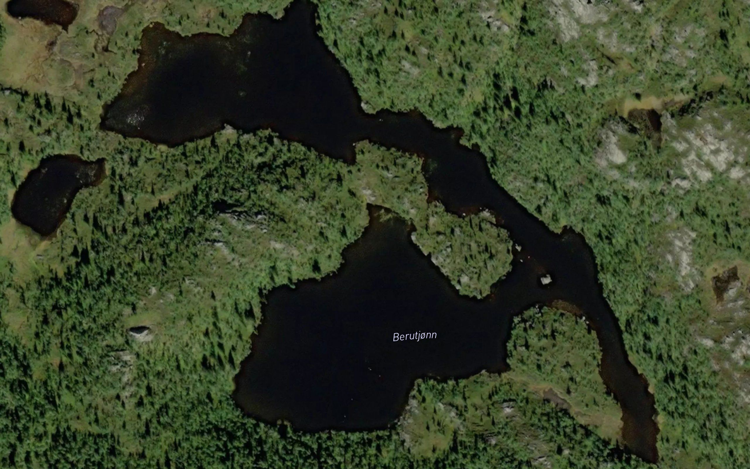 Berutjorn