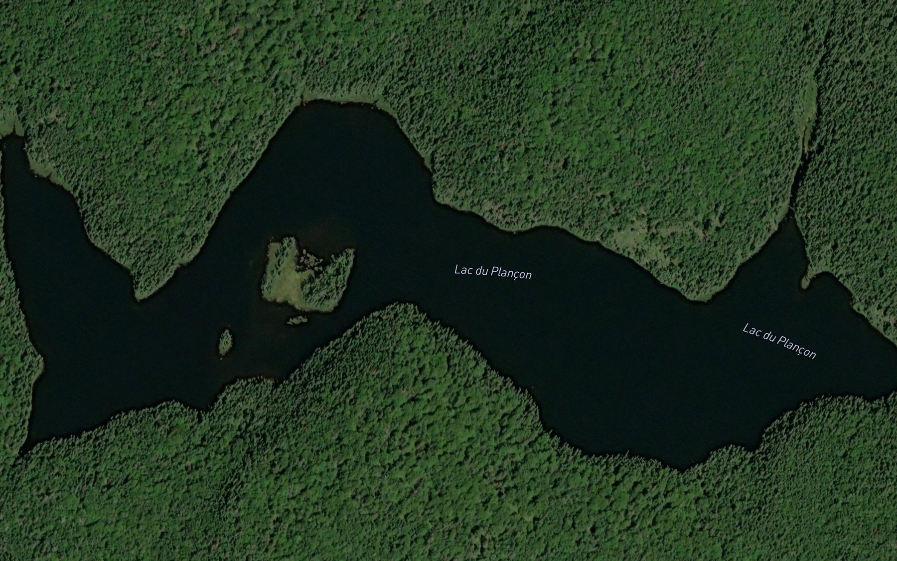 Satellite map of the Lac du Plancon