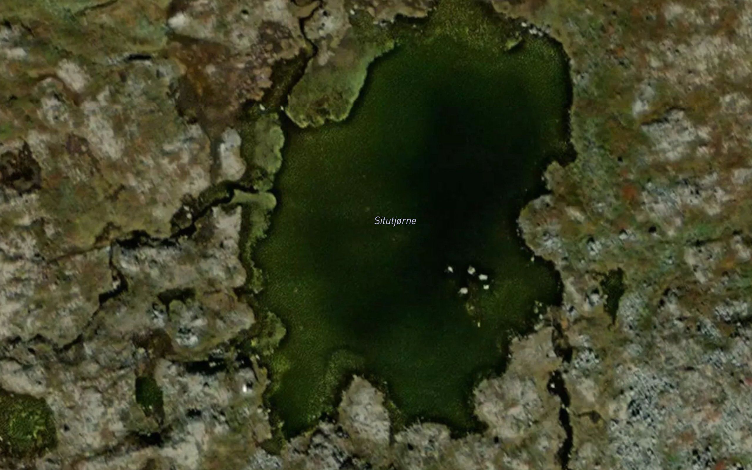 Situtjorne