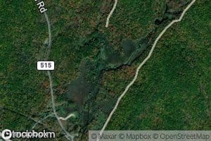 Pacock Brook