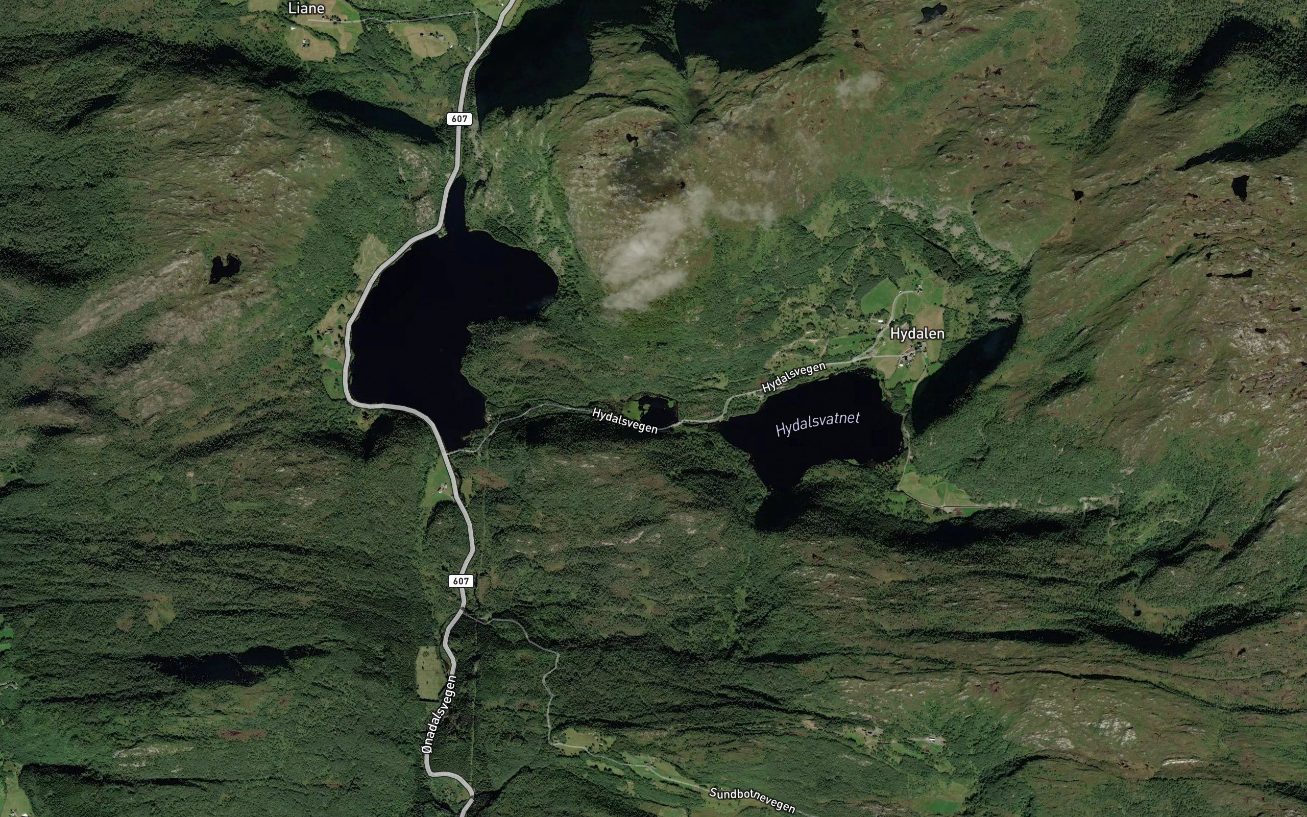 Leitetjorna