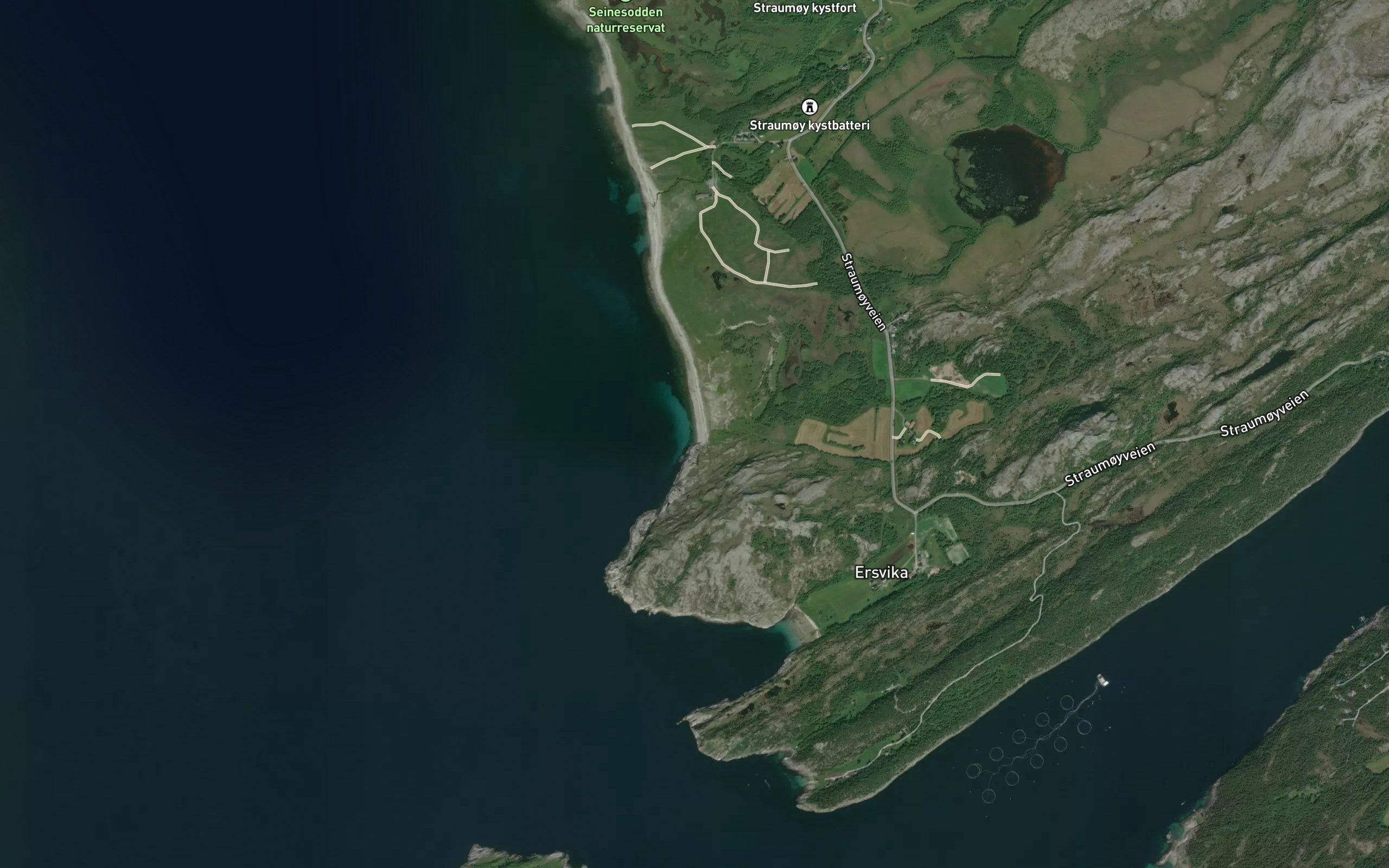 Hammarvollbukta