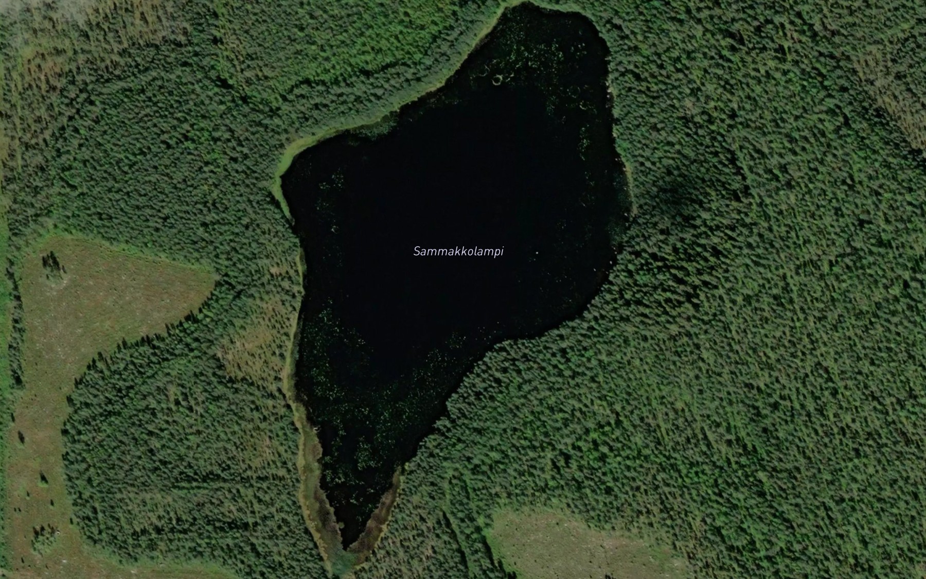 Satellite map of the Sammakkolampi