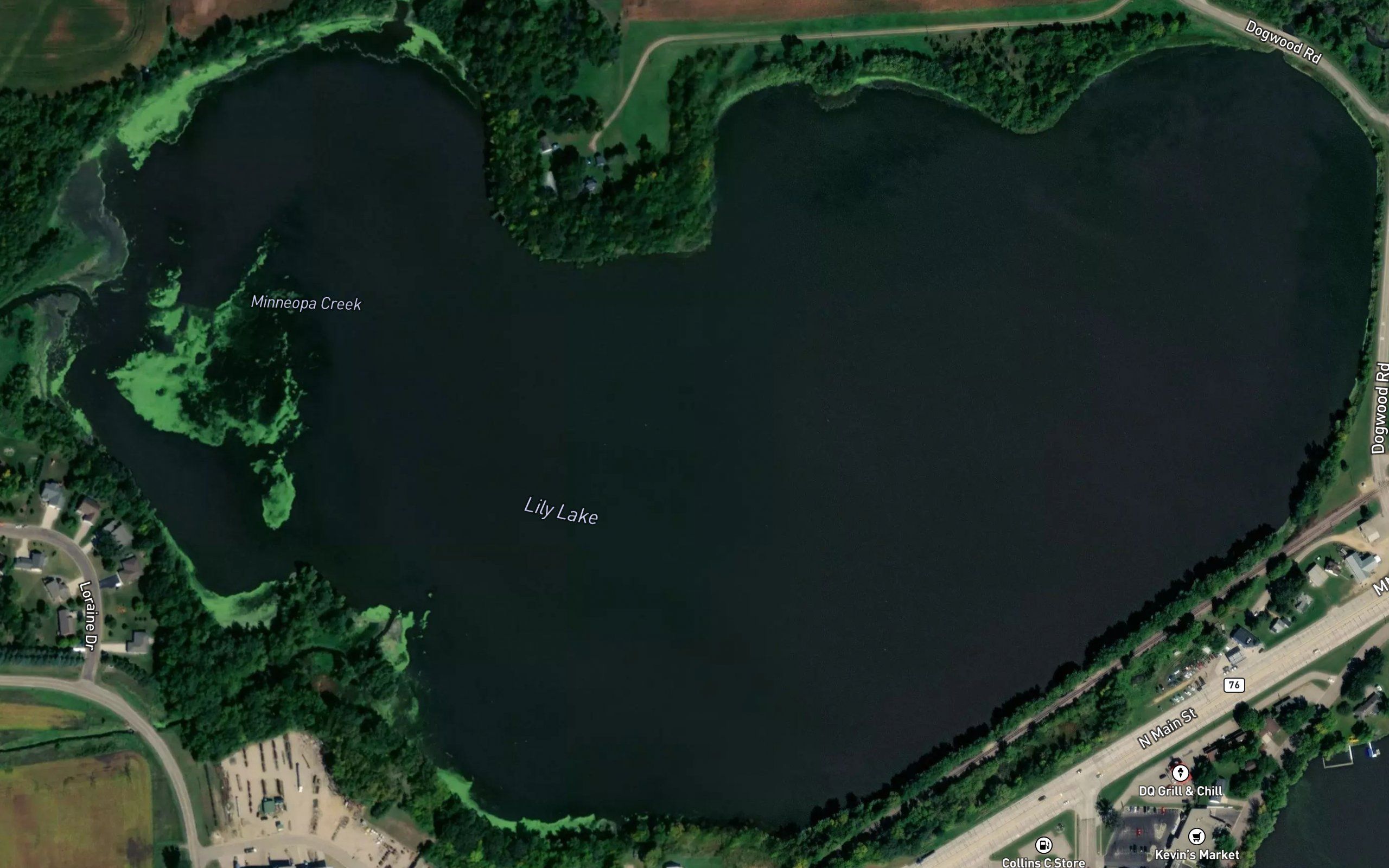 Lily Lake