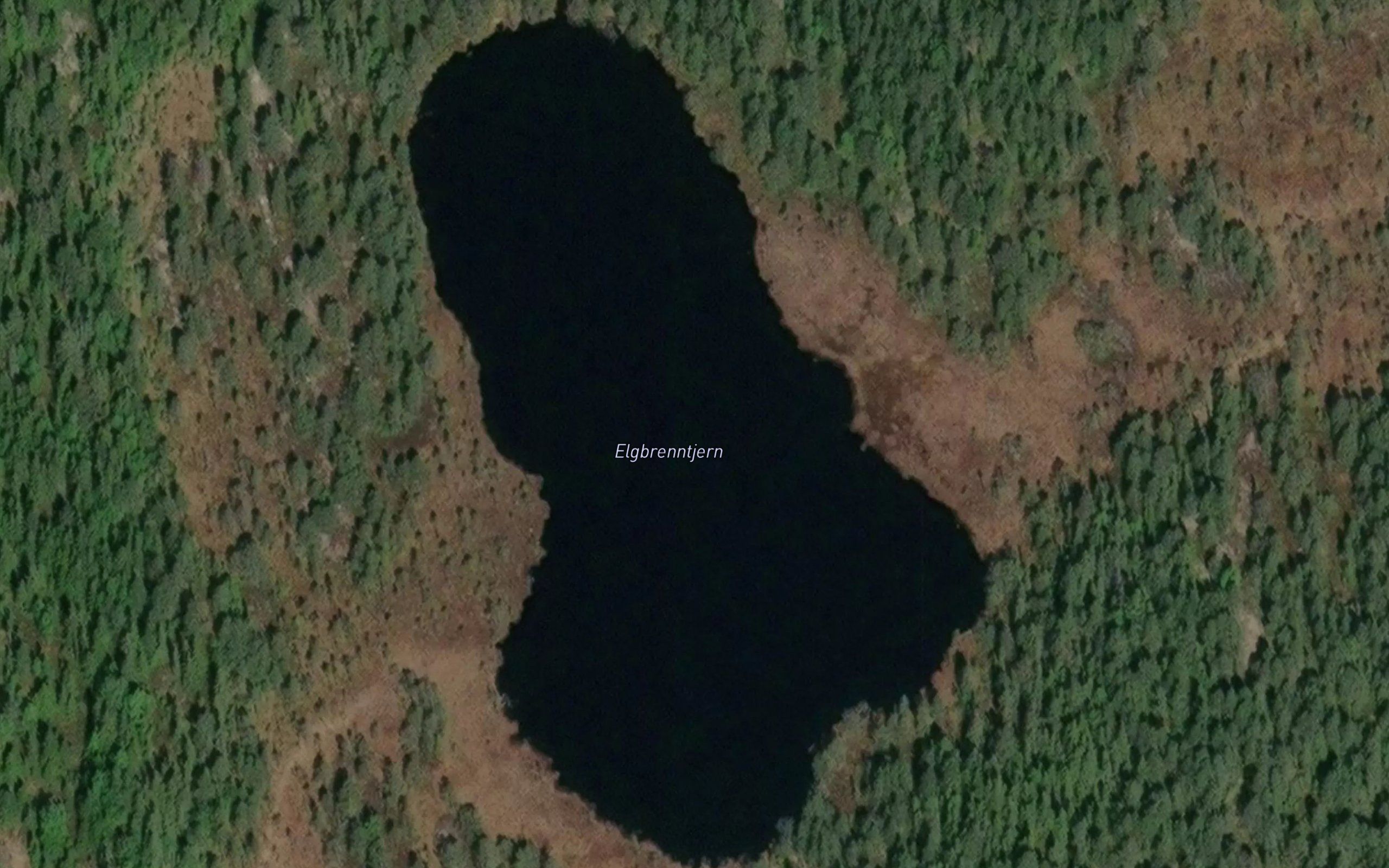 Elgbrenntjern