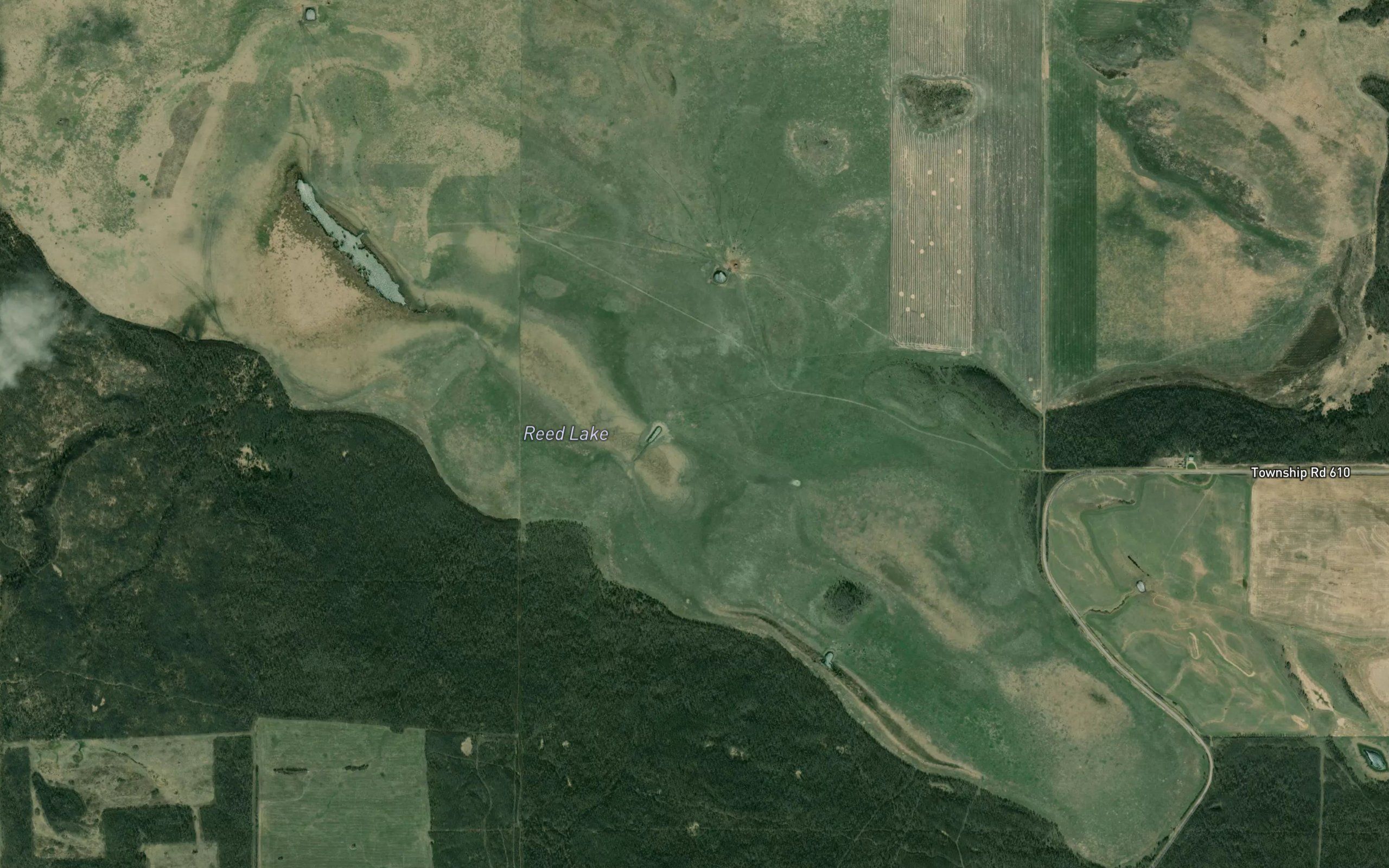 Reed Lake