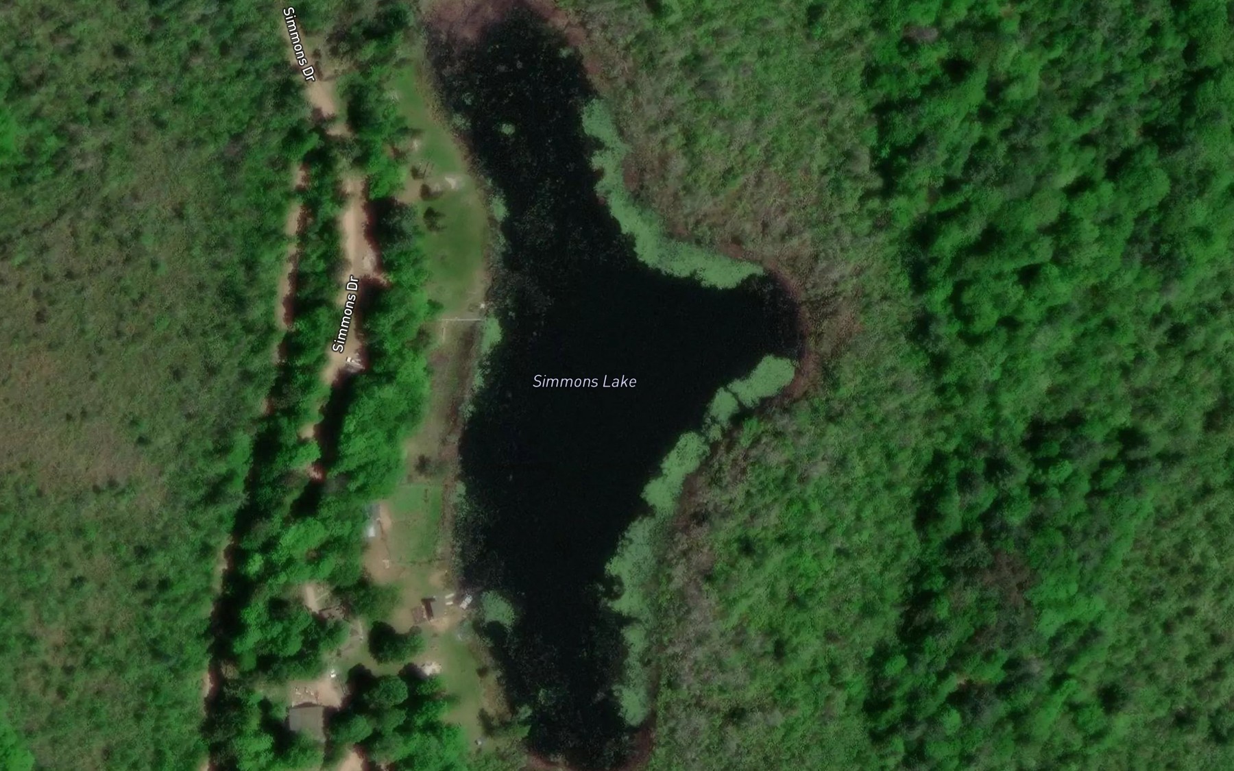 Satellite map of the Simmons Lake