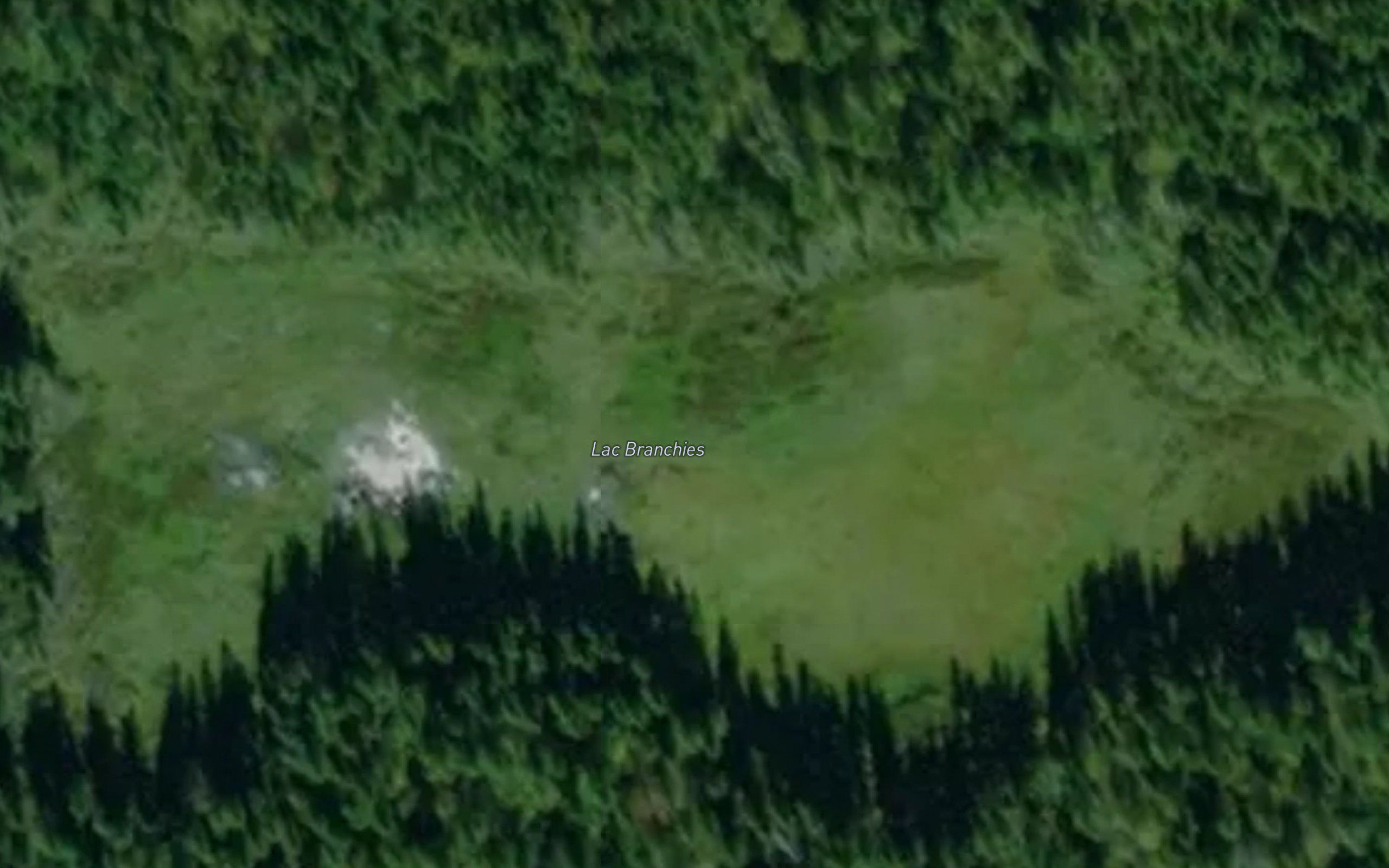 Lac Branchies