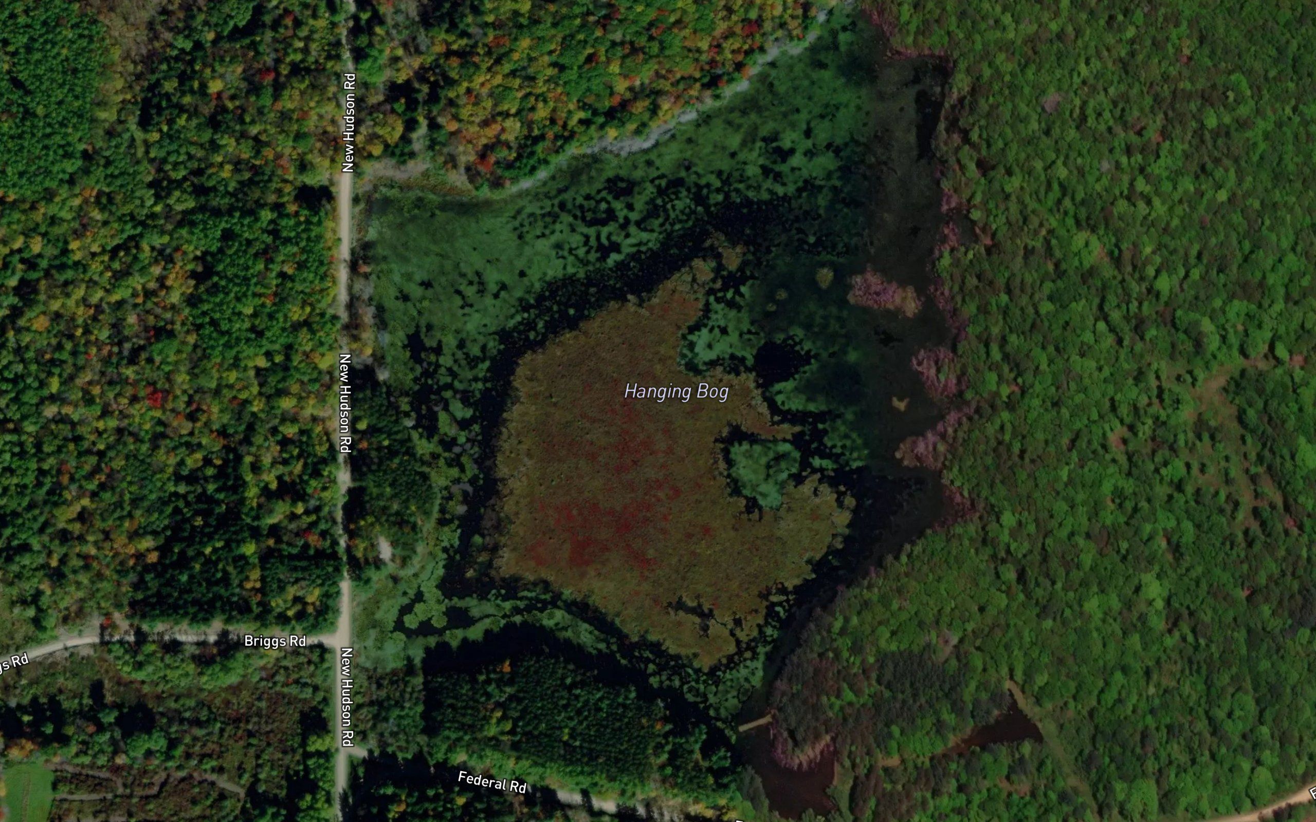 Hanging Bog
