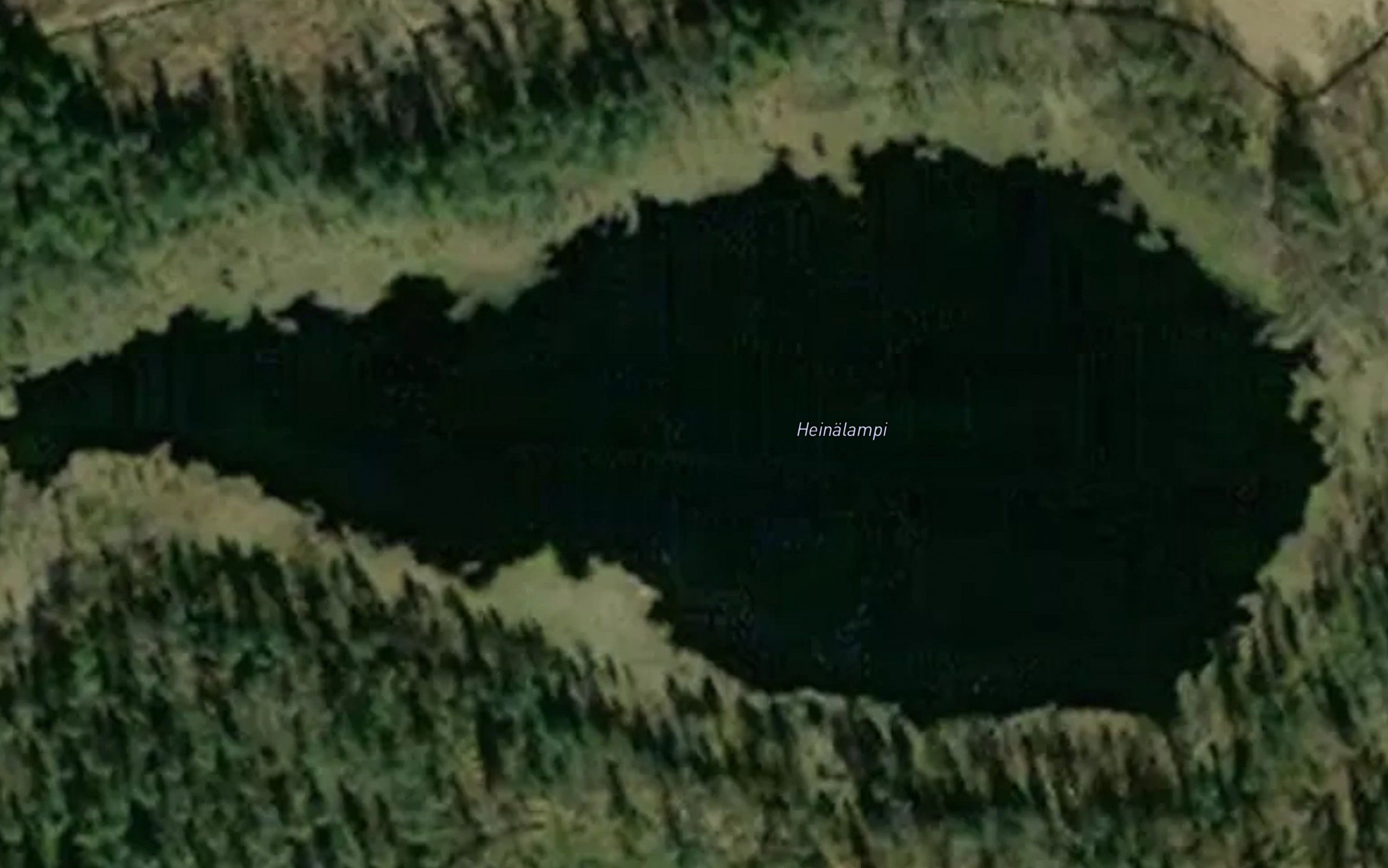 Heinalampi