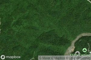 Eagle Knob Branch