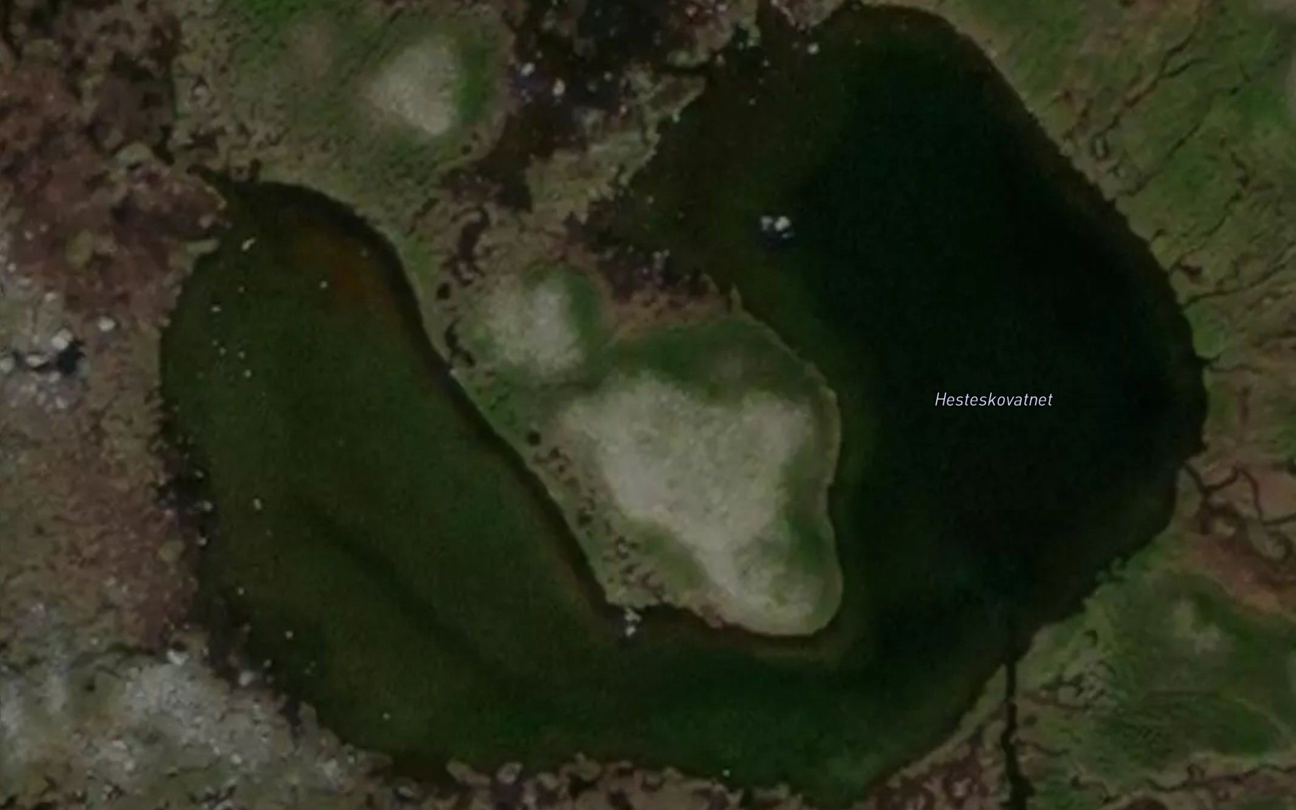Hesteskovatnet