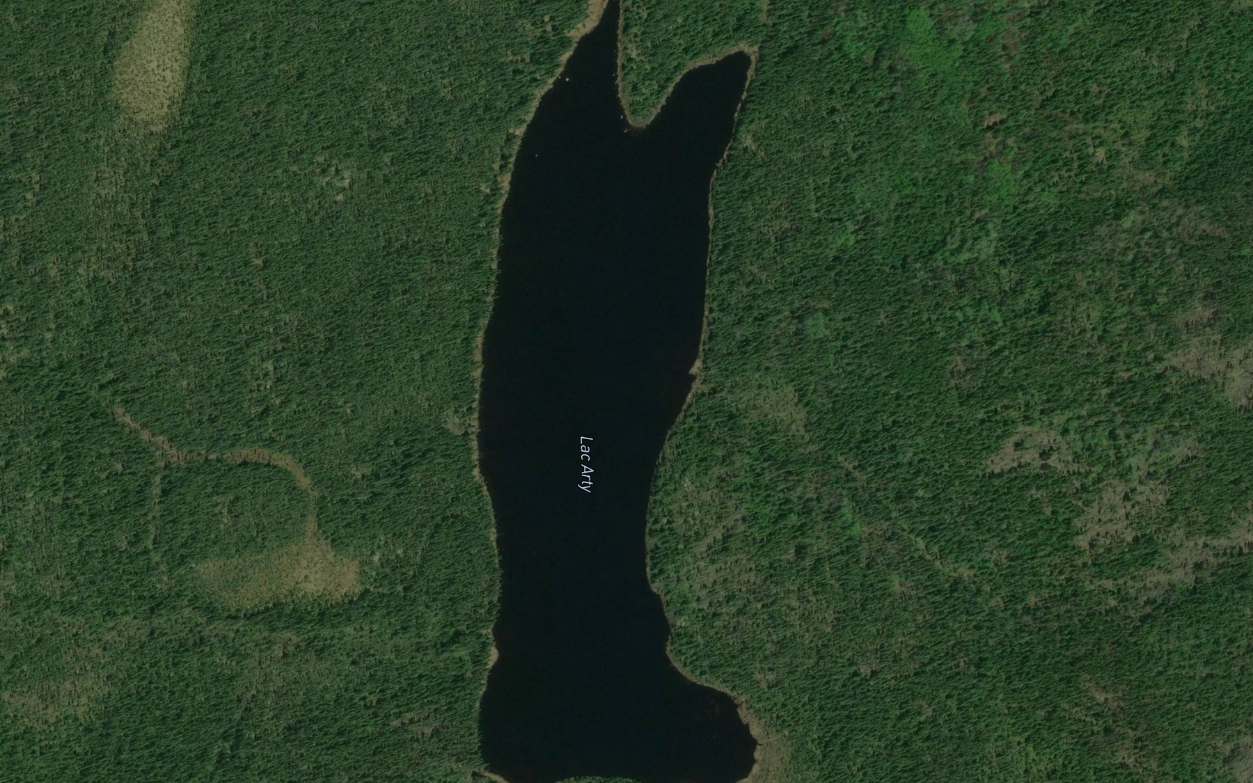 Satellite map of the Lac Arty