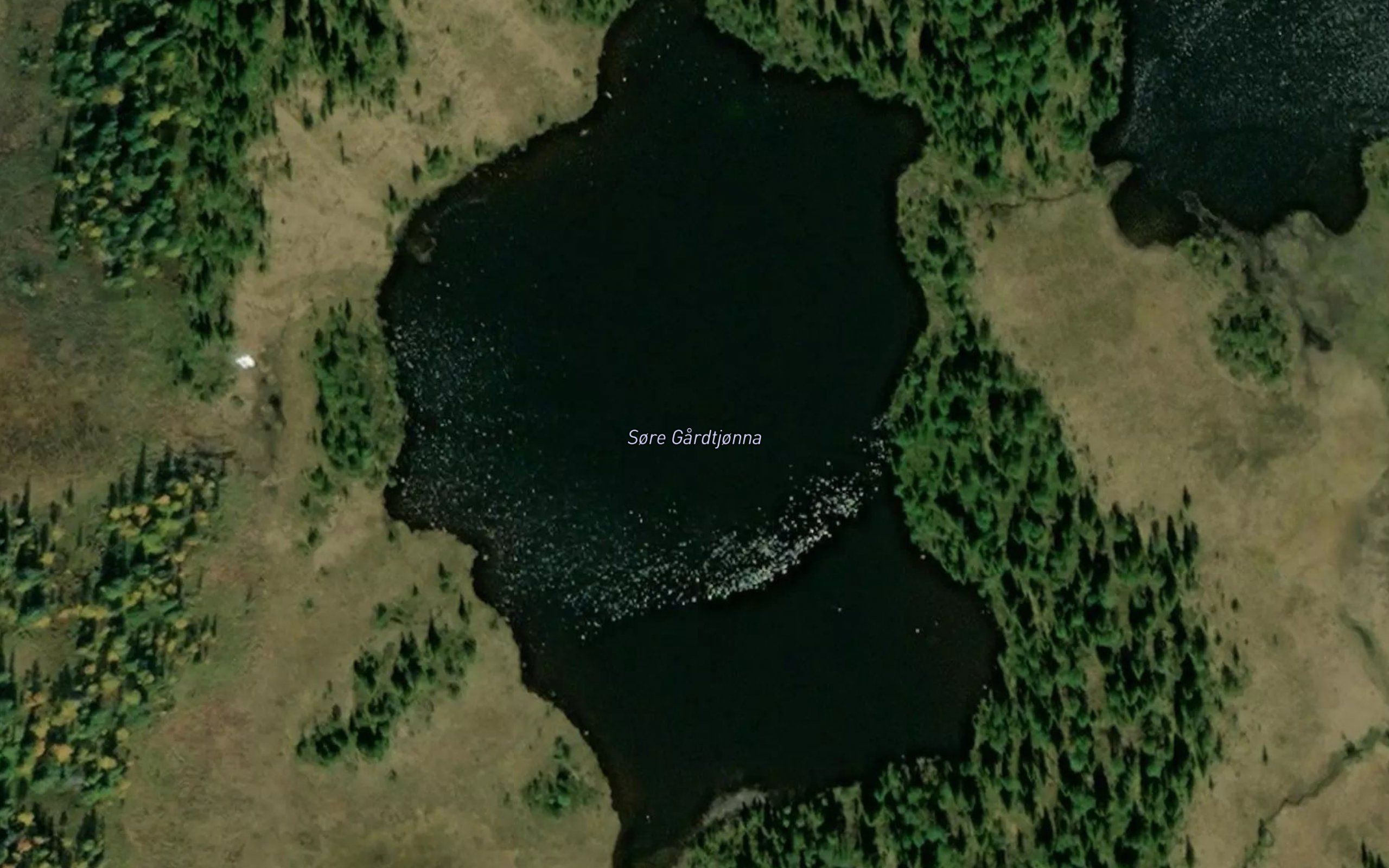 Gardtjornin,s